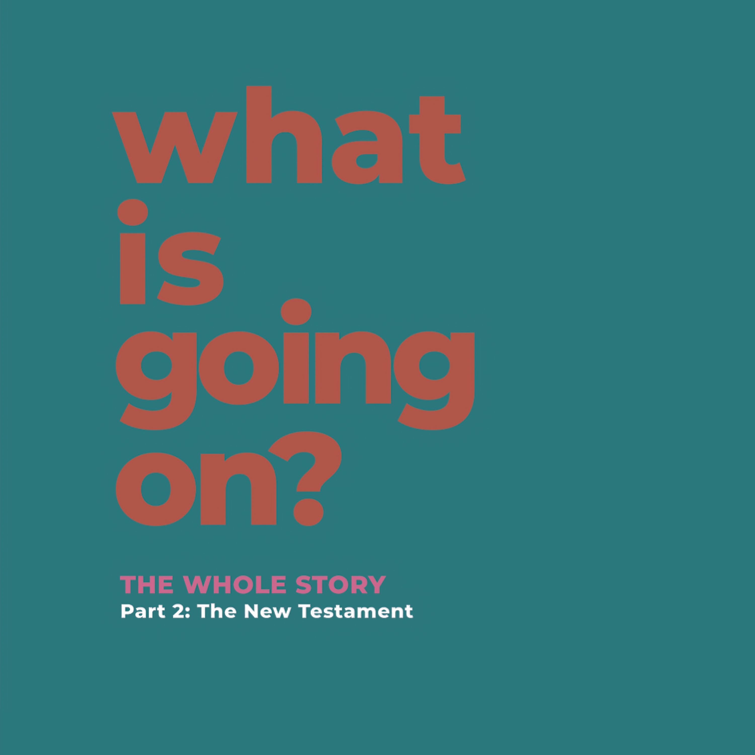 What Is Going On? - The Whole Story - James