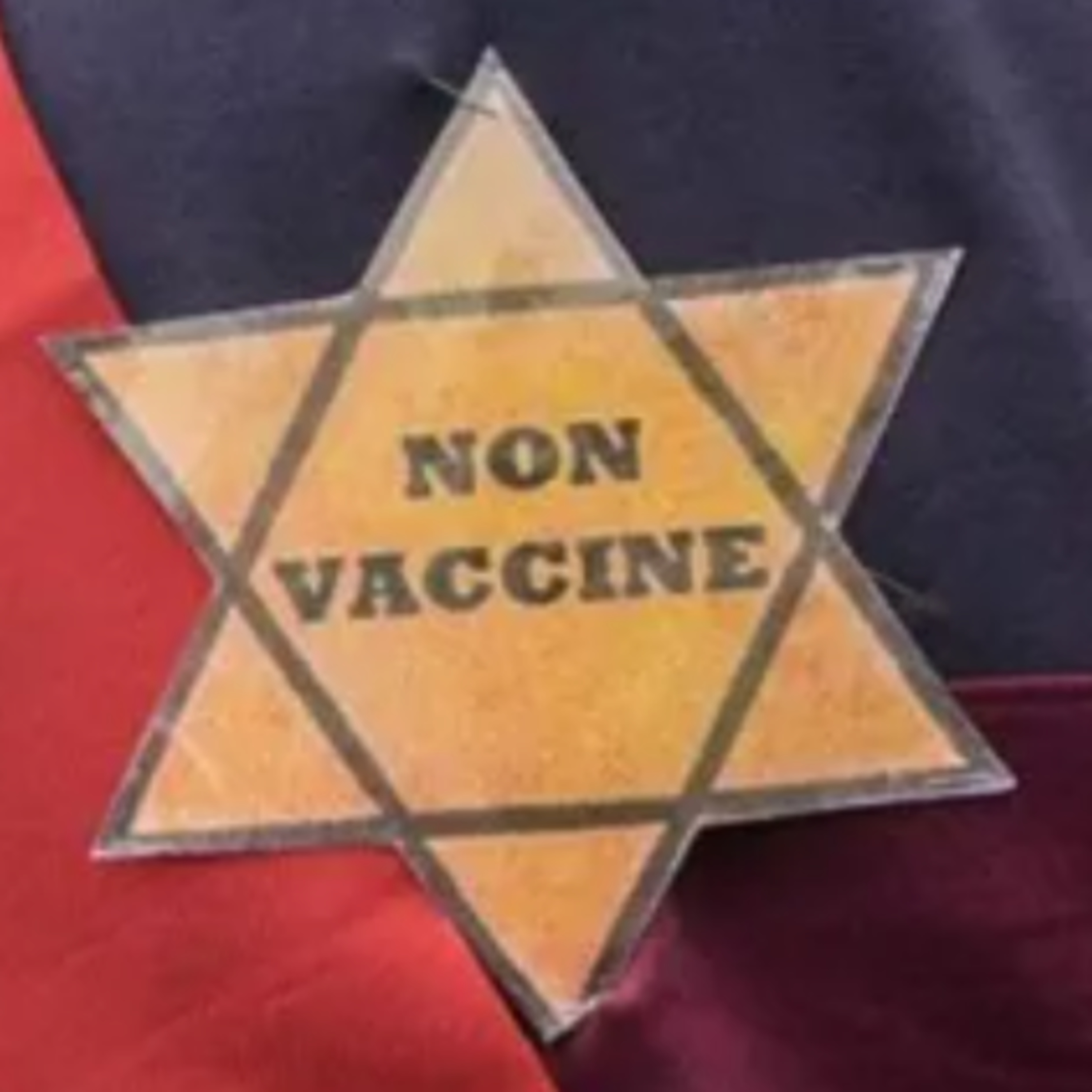 VERDADES DE SÍNDEMIA del Doctor Bee