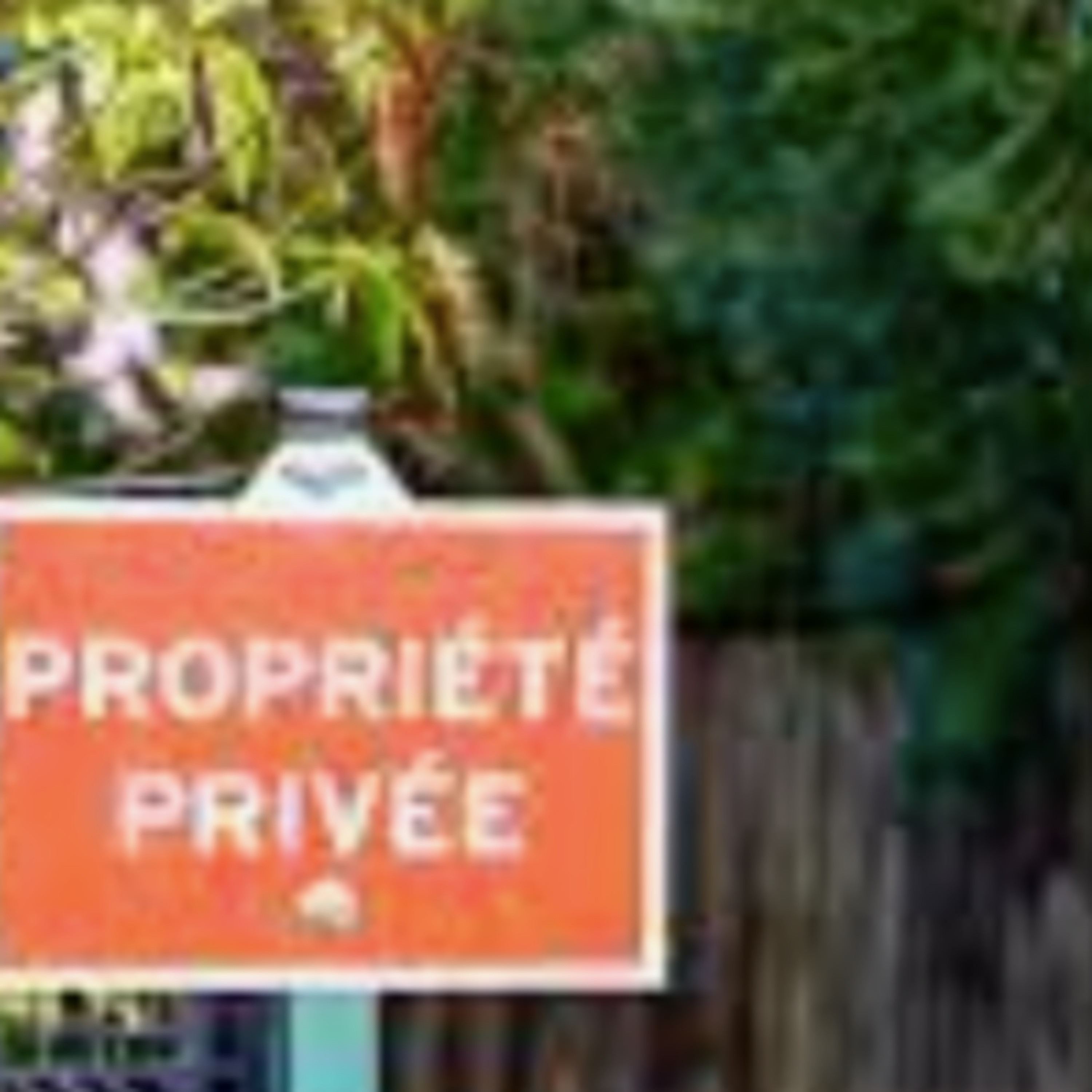 VERDADES DE SÍNDEMIA del Doctor Bee