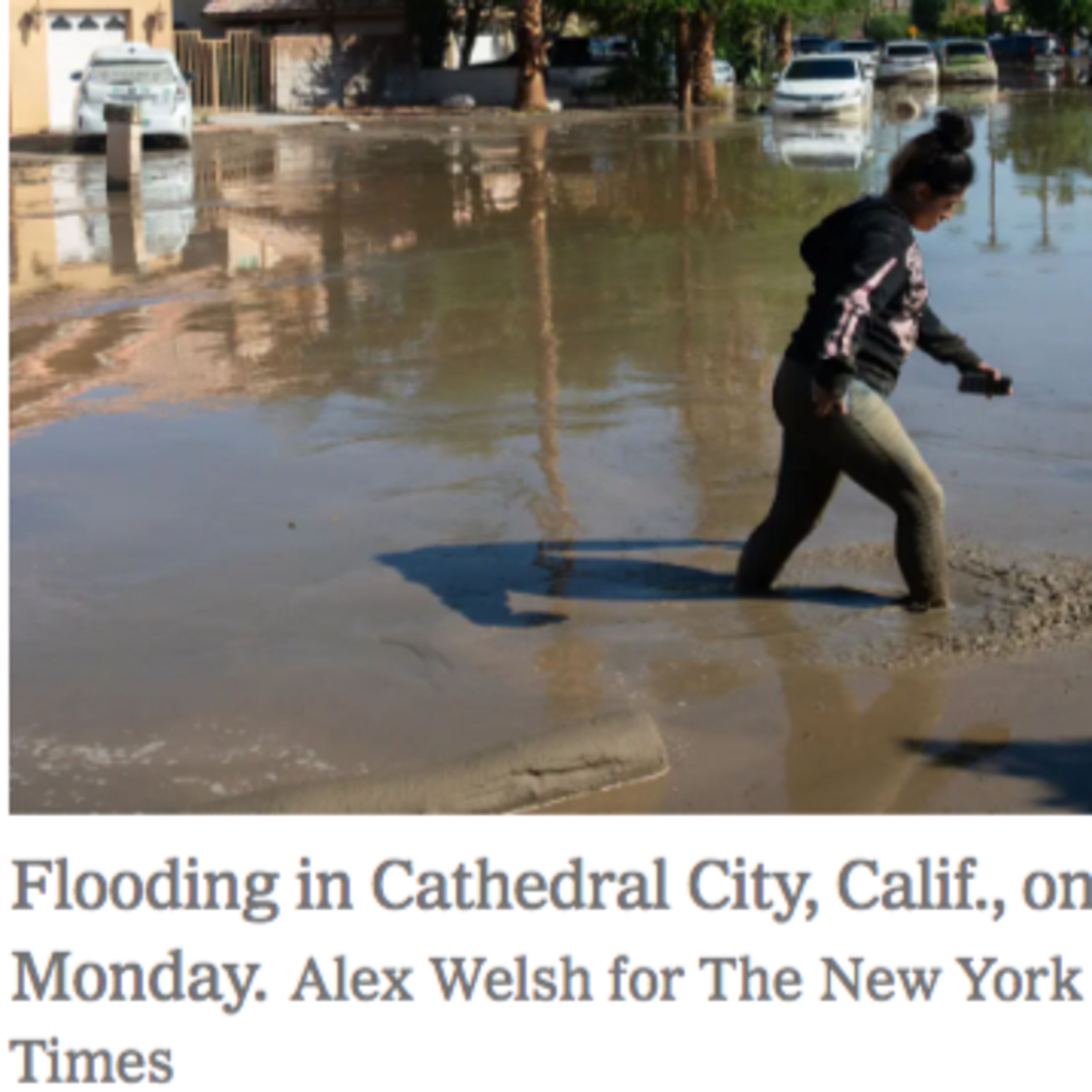 VERDADES DE SÍNDEMIA del Doctor Bee