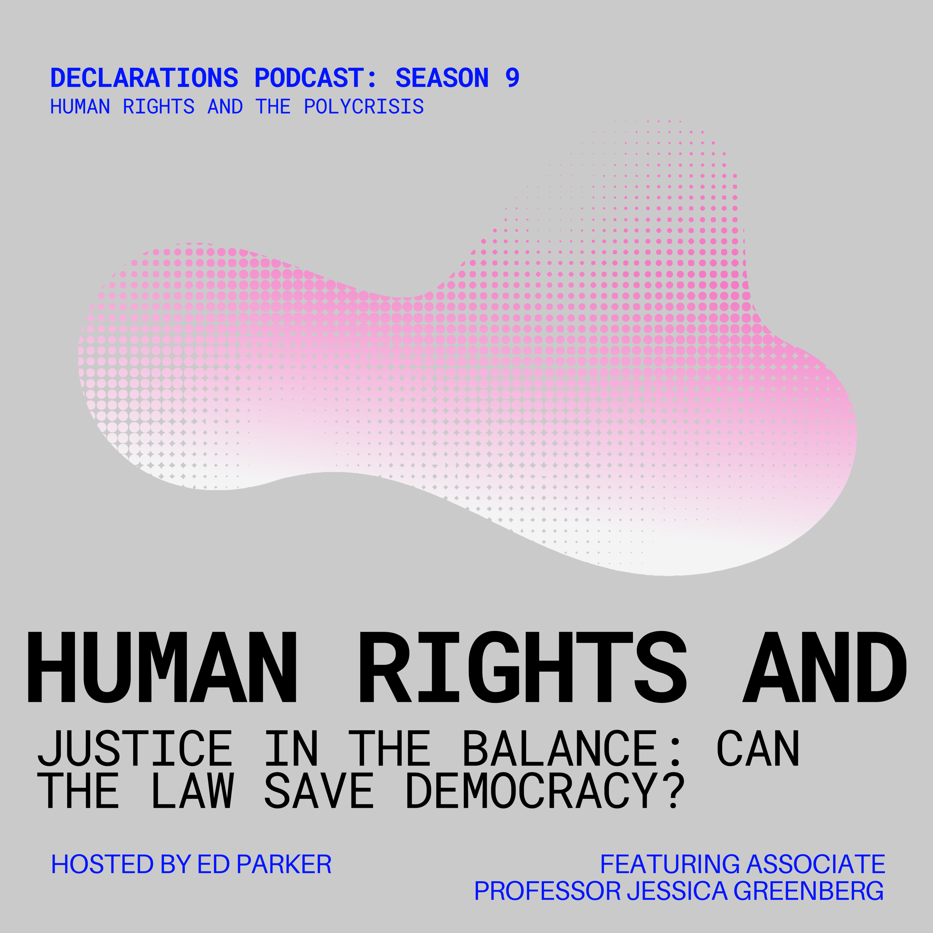 Justice in the Balance: Can the Law Save Democracy?