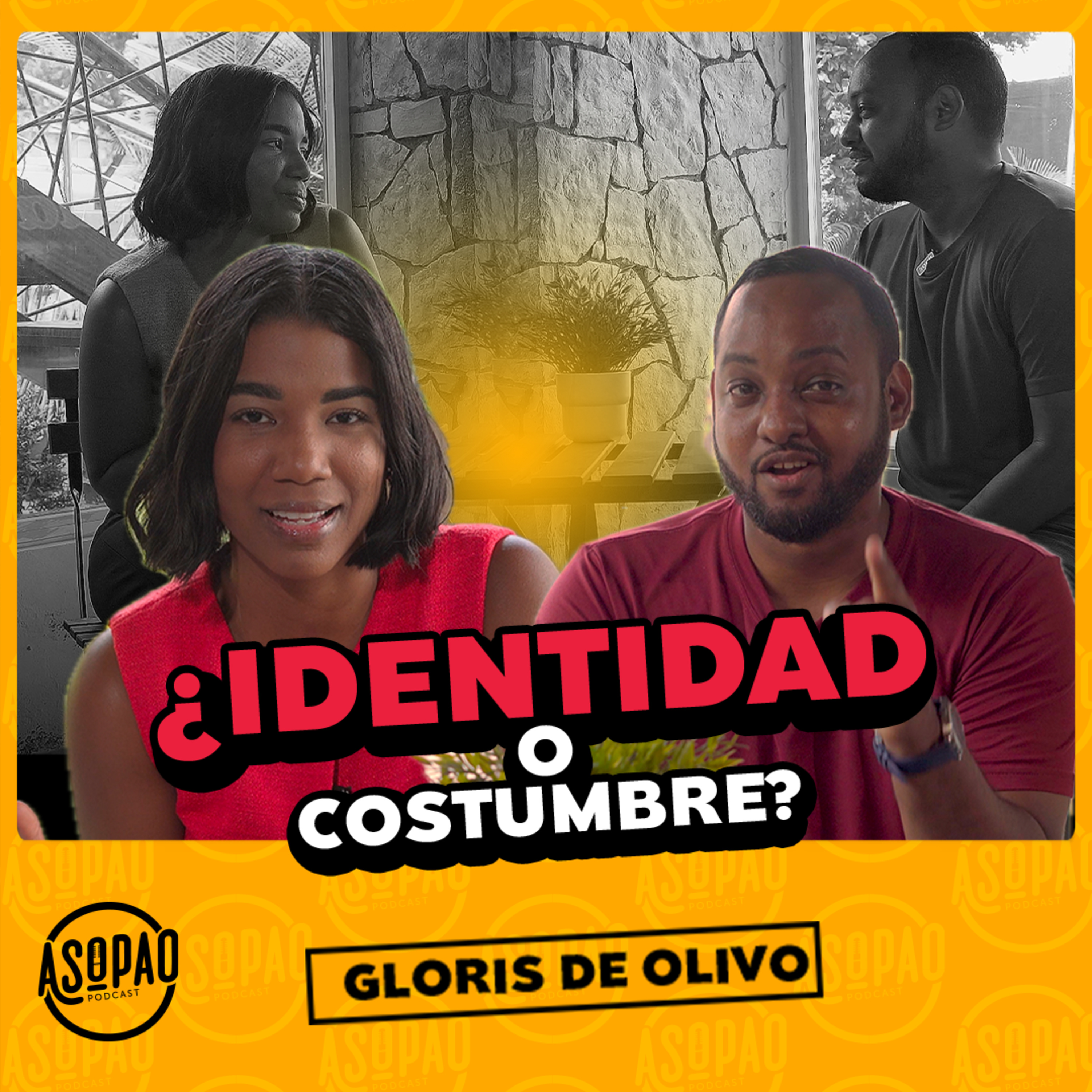 EP91- ¿DEBE CAMBIAR EL PLATO BANDERA DE REPÚBLICA DOMINICANA? GLORIS DE OLIVO