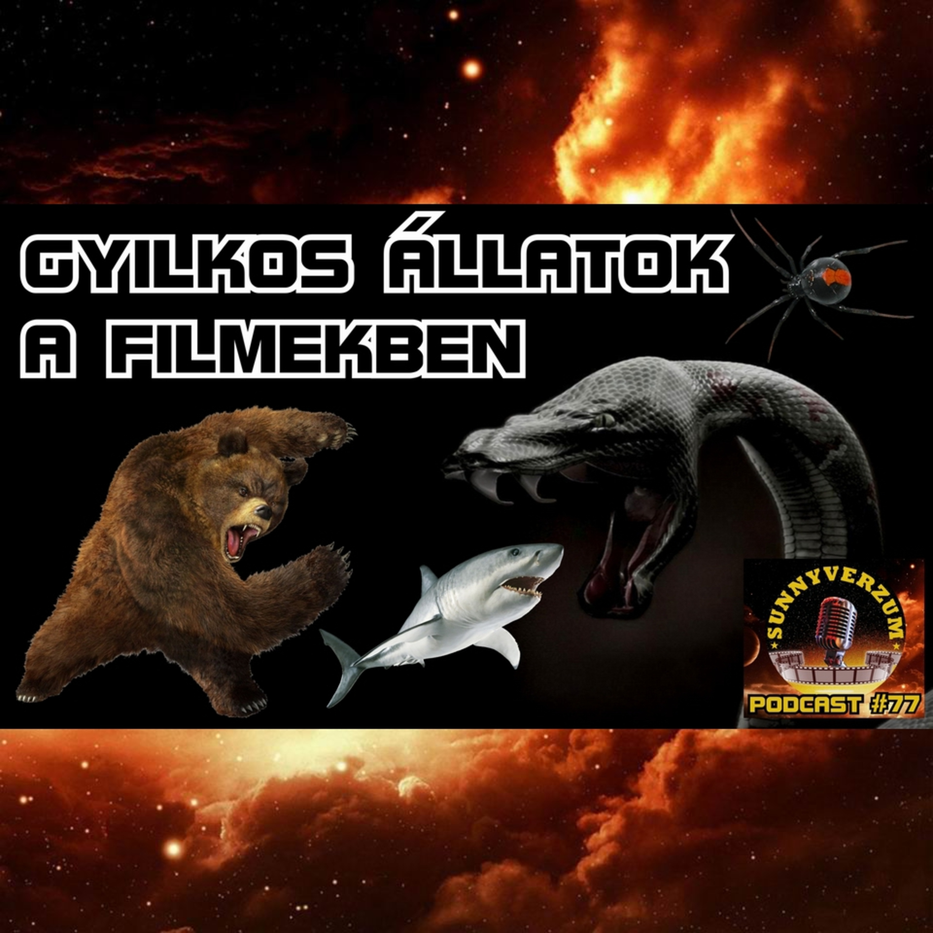 SunnyVerzum Podcast adások