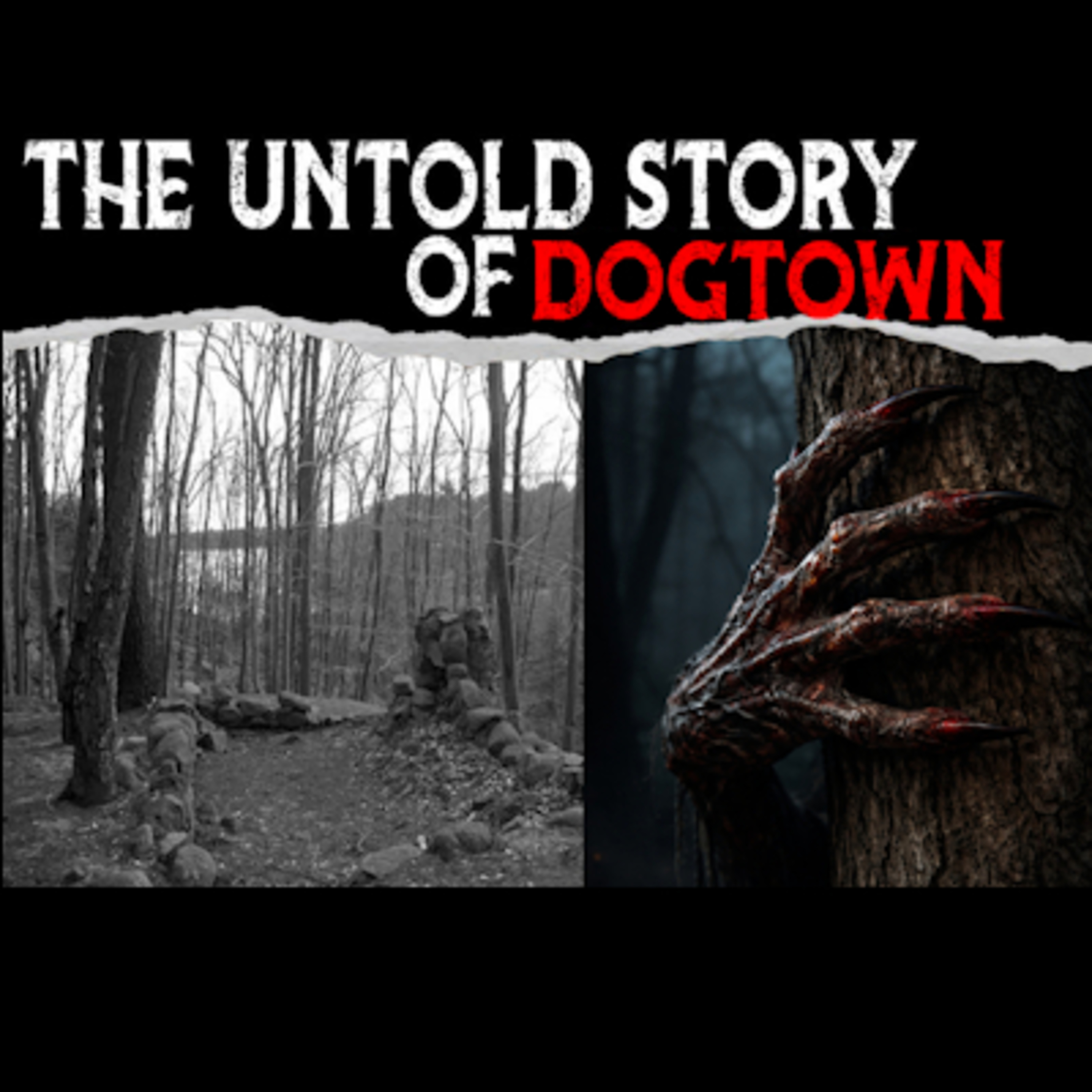 The Untold Story Of Dogtown - Massachusetts episode artwork
