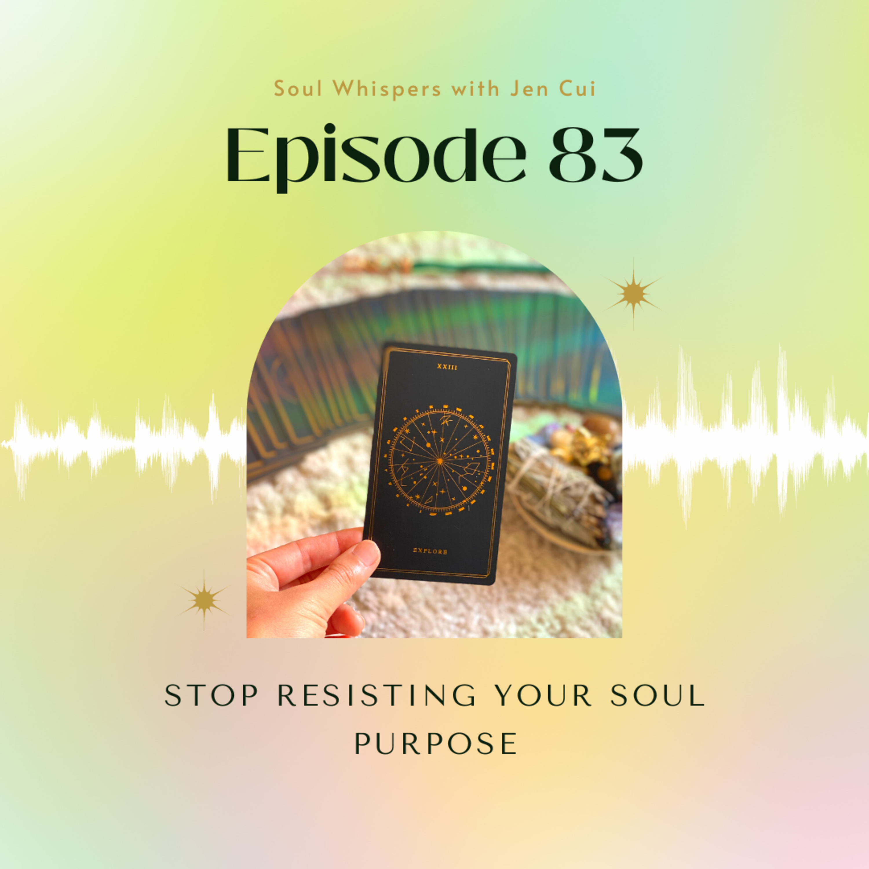 The Soul Whisperer