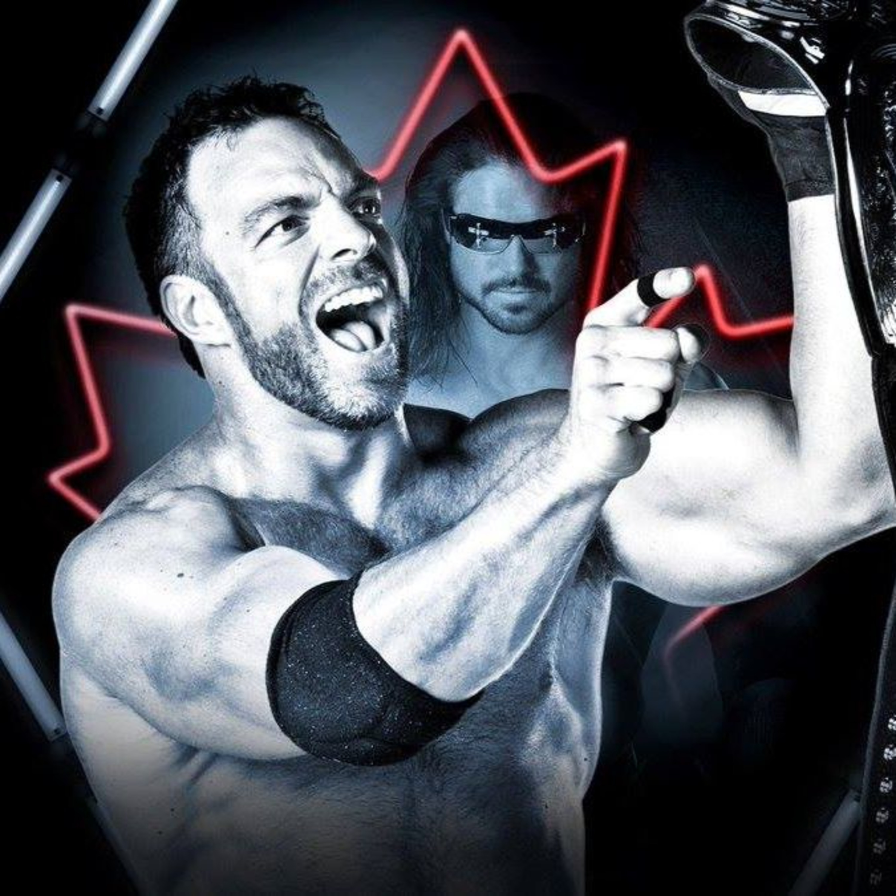 The Wrestling Guild