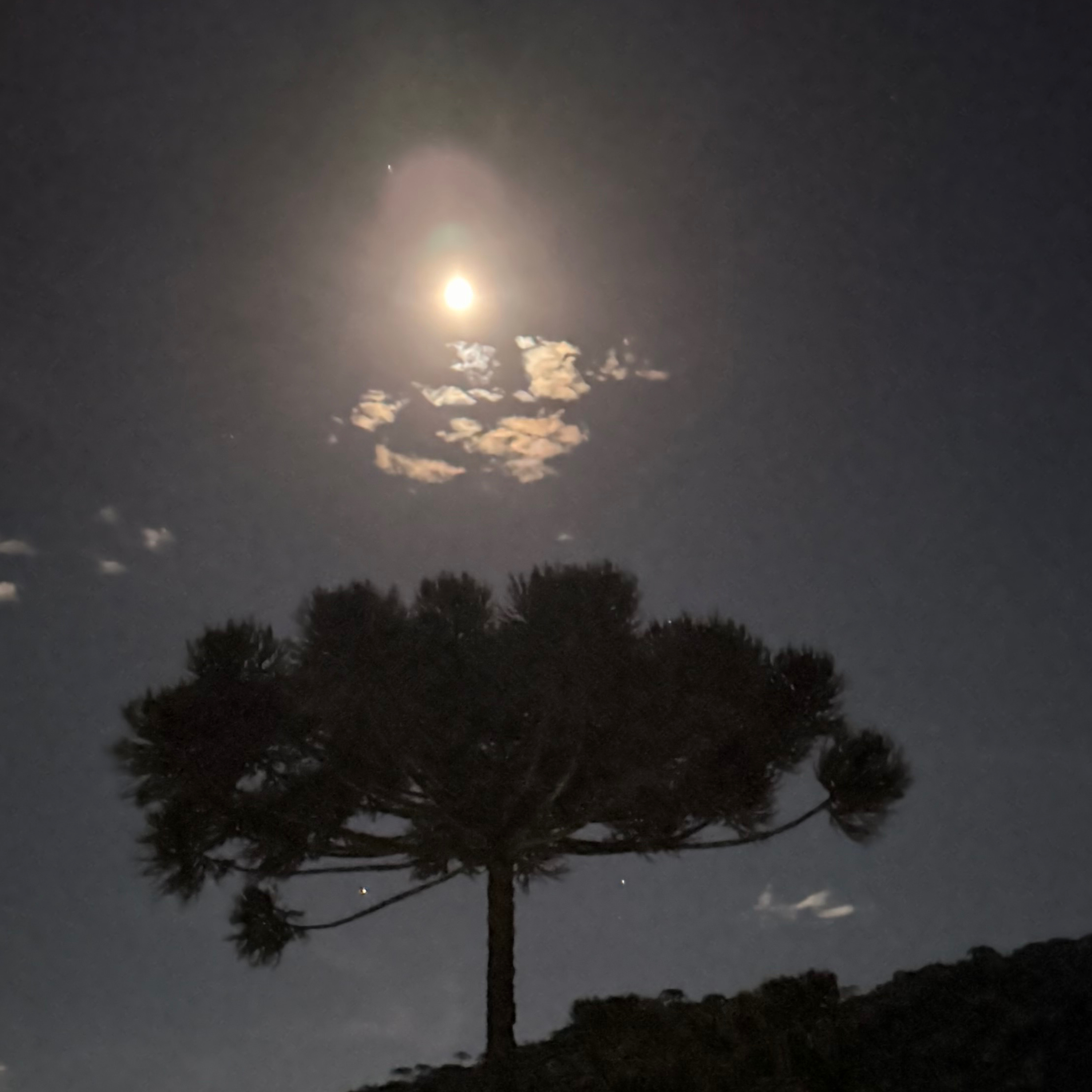 Lua Cheia em Câncer 