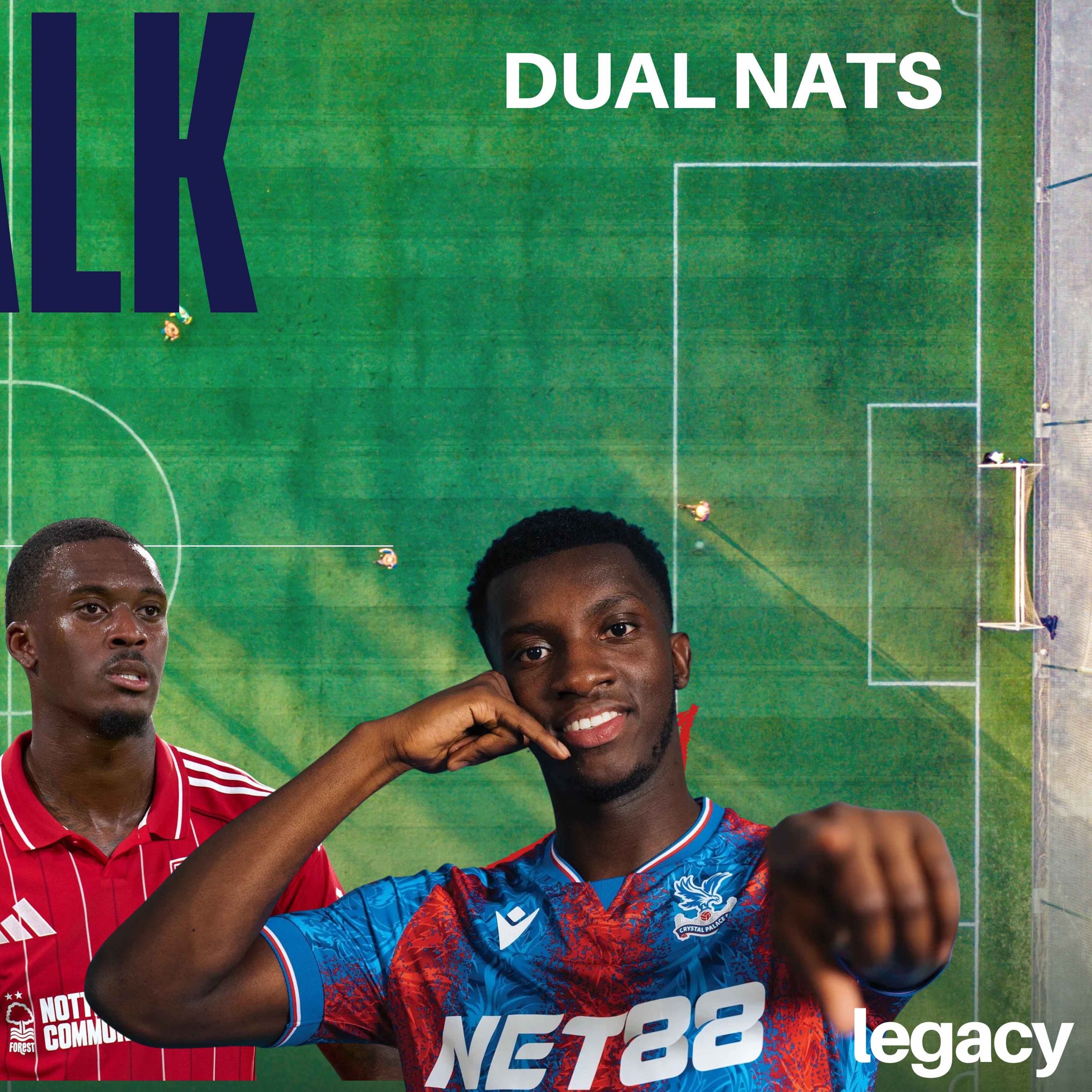 The Curious case of Dual nationals