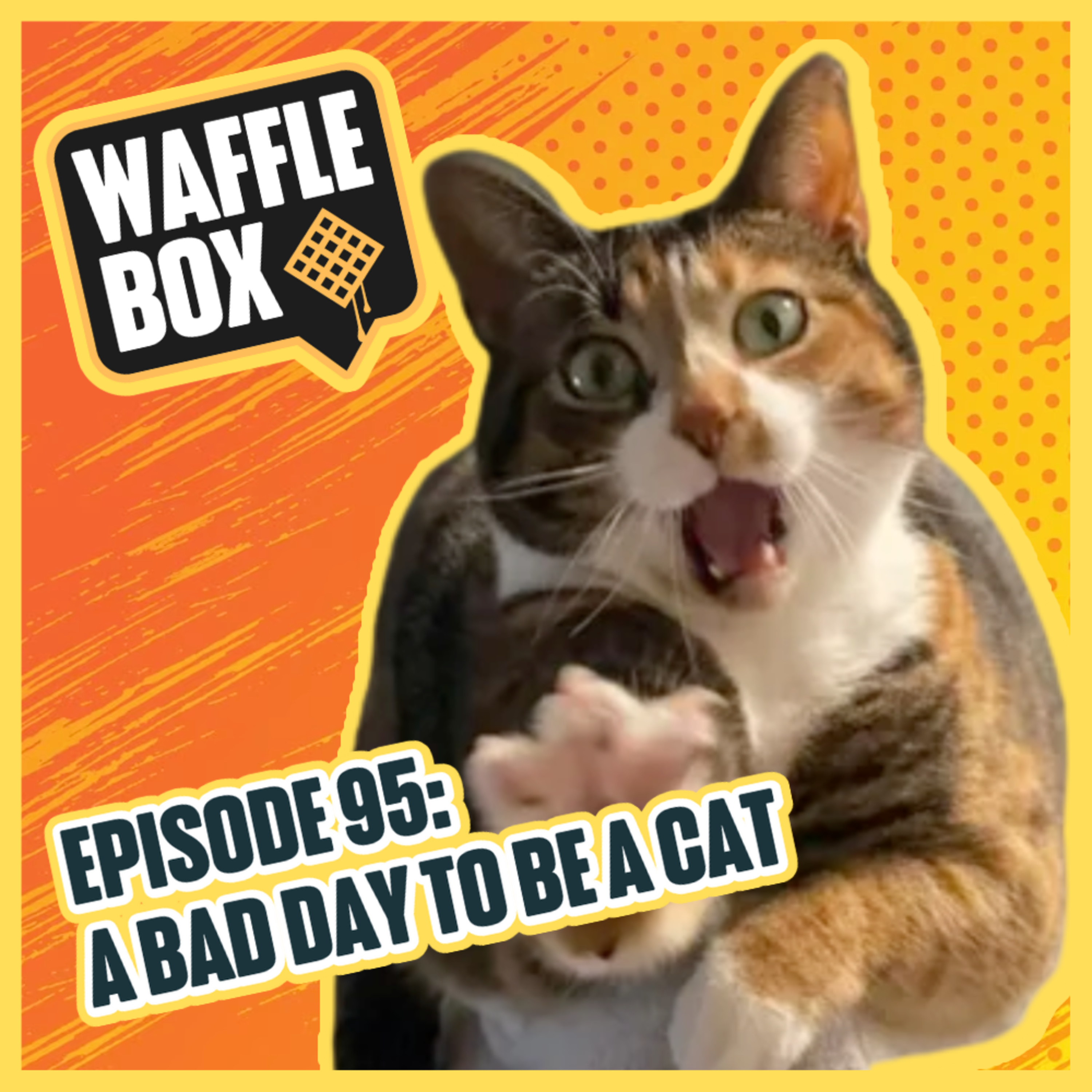 Episode 95 - A Bad Day To Be A Cat