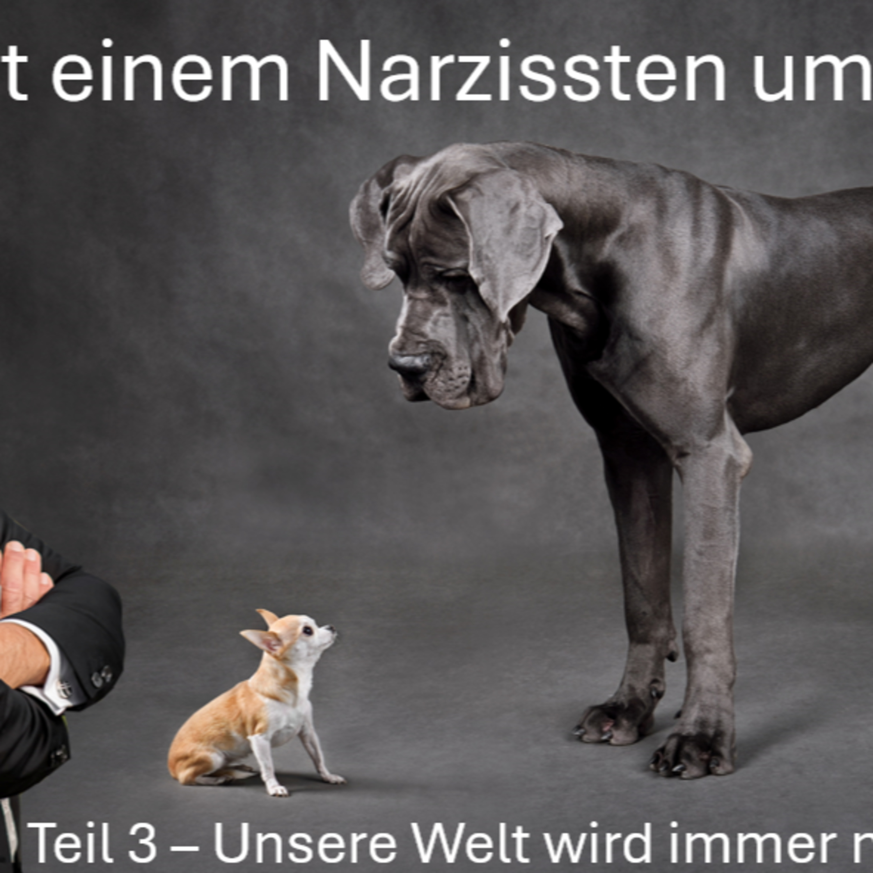 Richtiger Umgang mit einem Narzissten - Teil 3 - Die Welt immer narzisstischer episode artwork