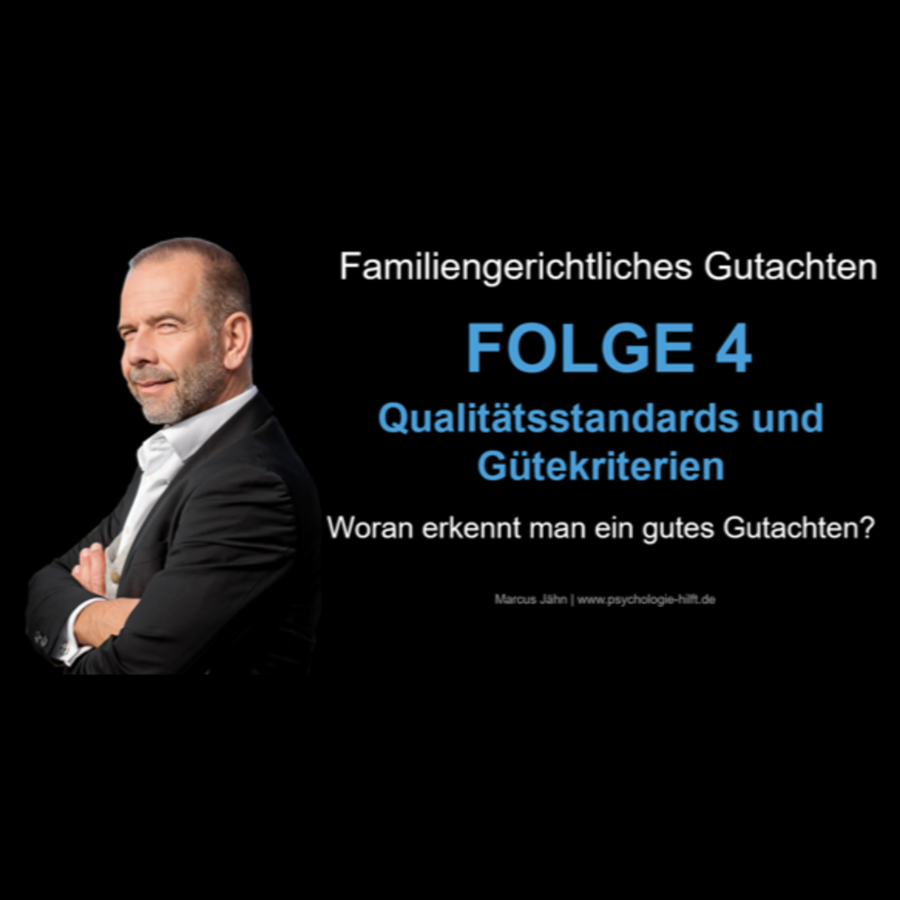 Familienpsychologische Gutachten (4) Qualitätstandards und Gütekriterien episode artwork