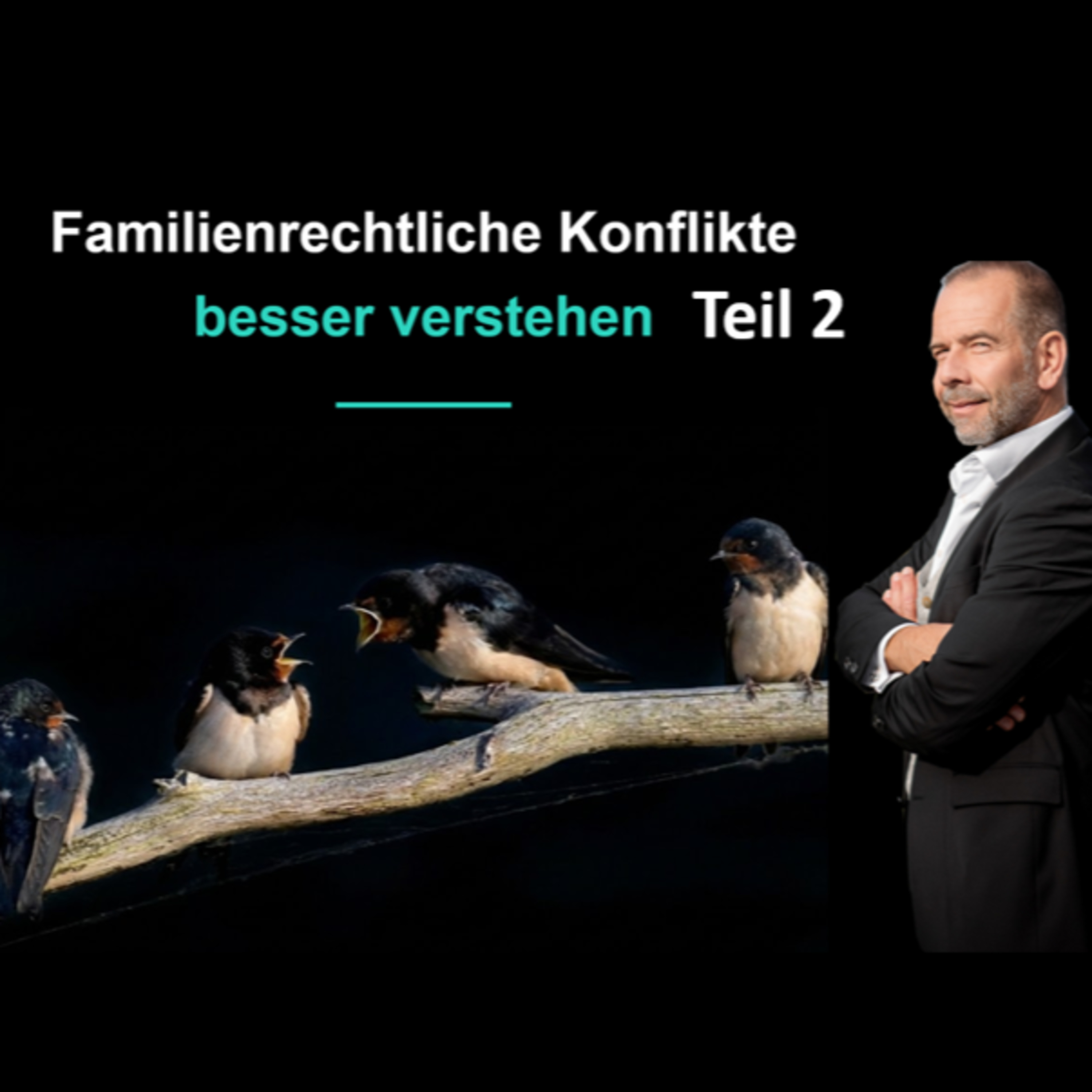 Familienrechtspsychologie (2) Konflikte verstehen in einem familienpsychologischen Gutachten episode artwork