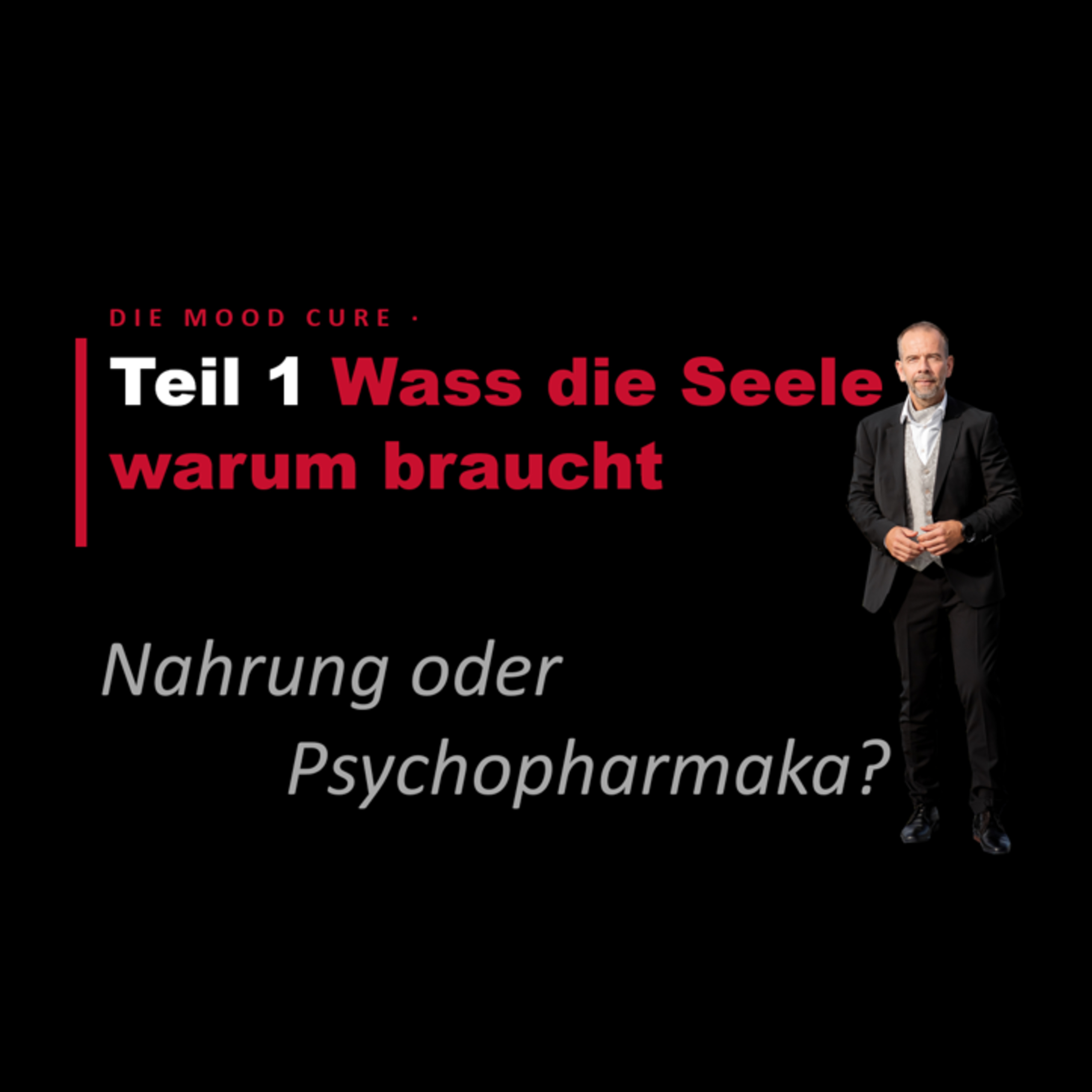 Psychopharmaka oder Nahrung? Teil 1 - Das Fundament episode artwork