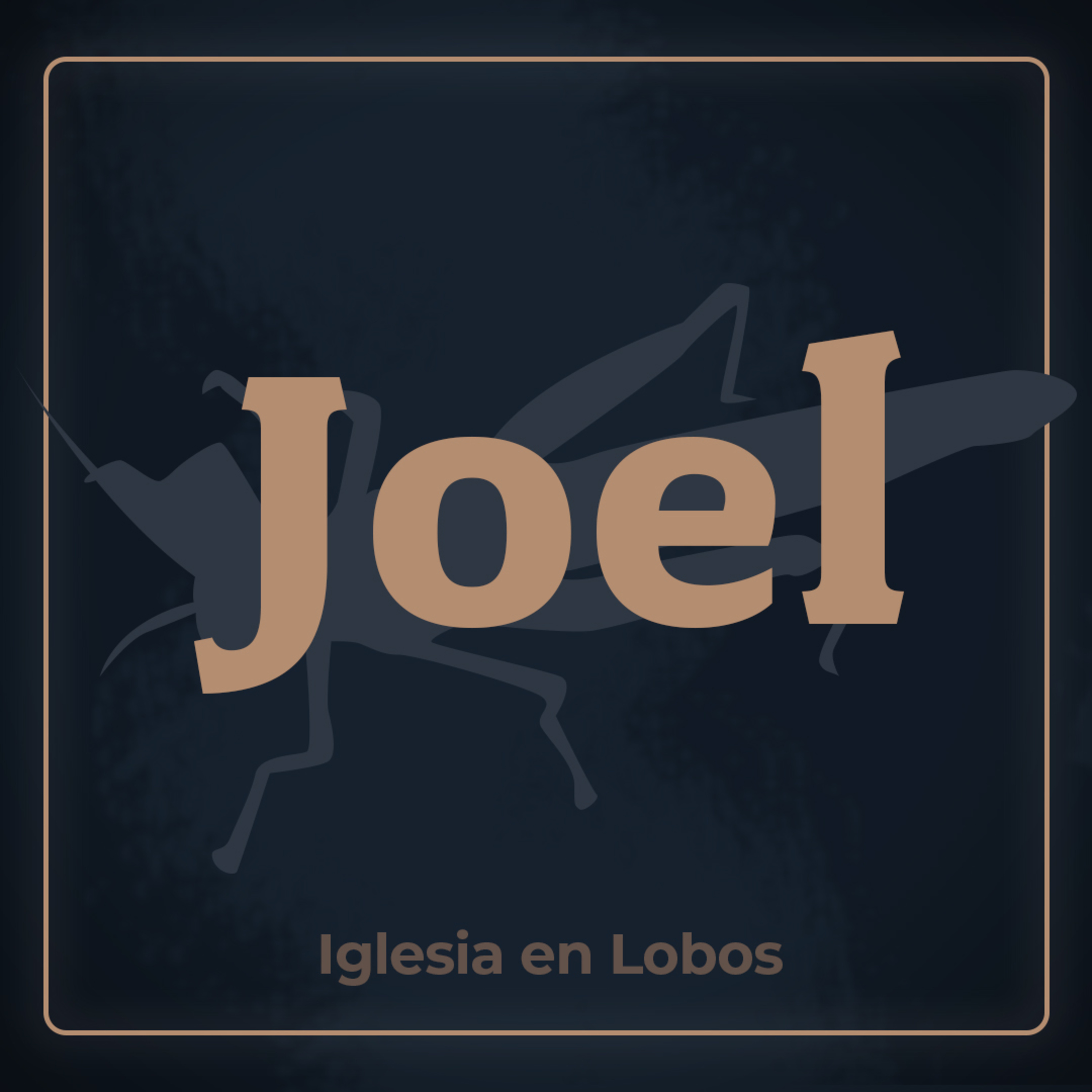 Portada de Sermones de la Iglesia en Lobos