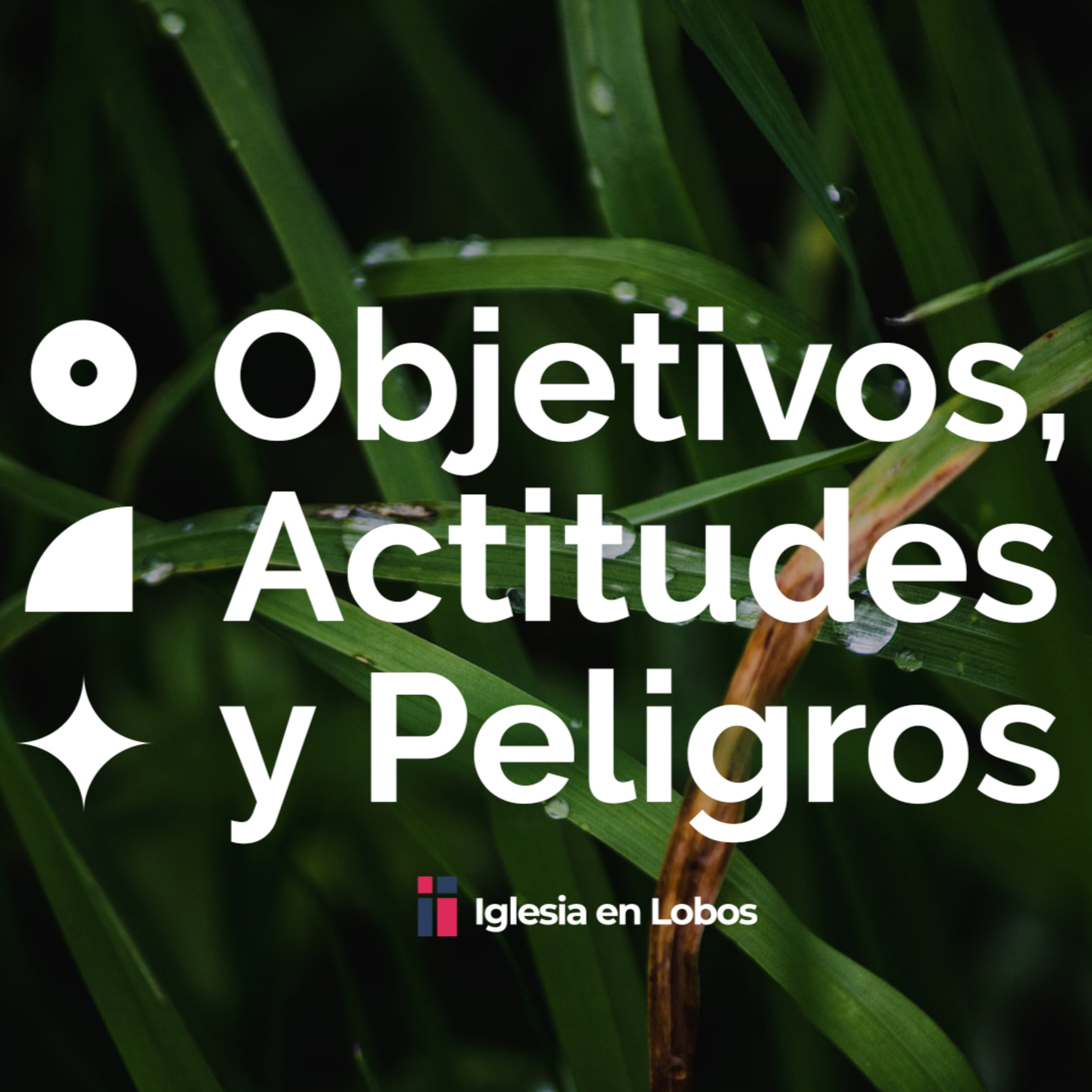 Sermones Bíblicos de la Iglesia en Lobos