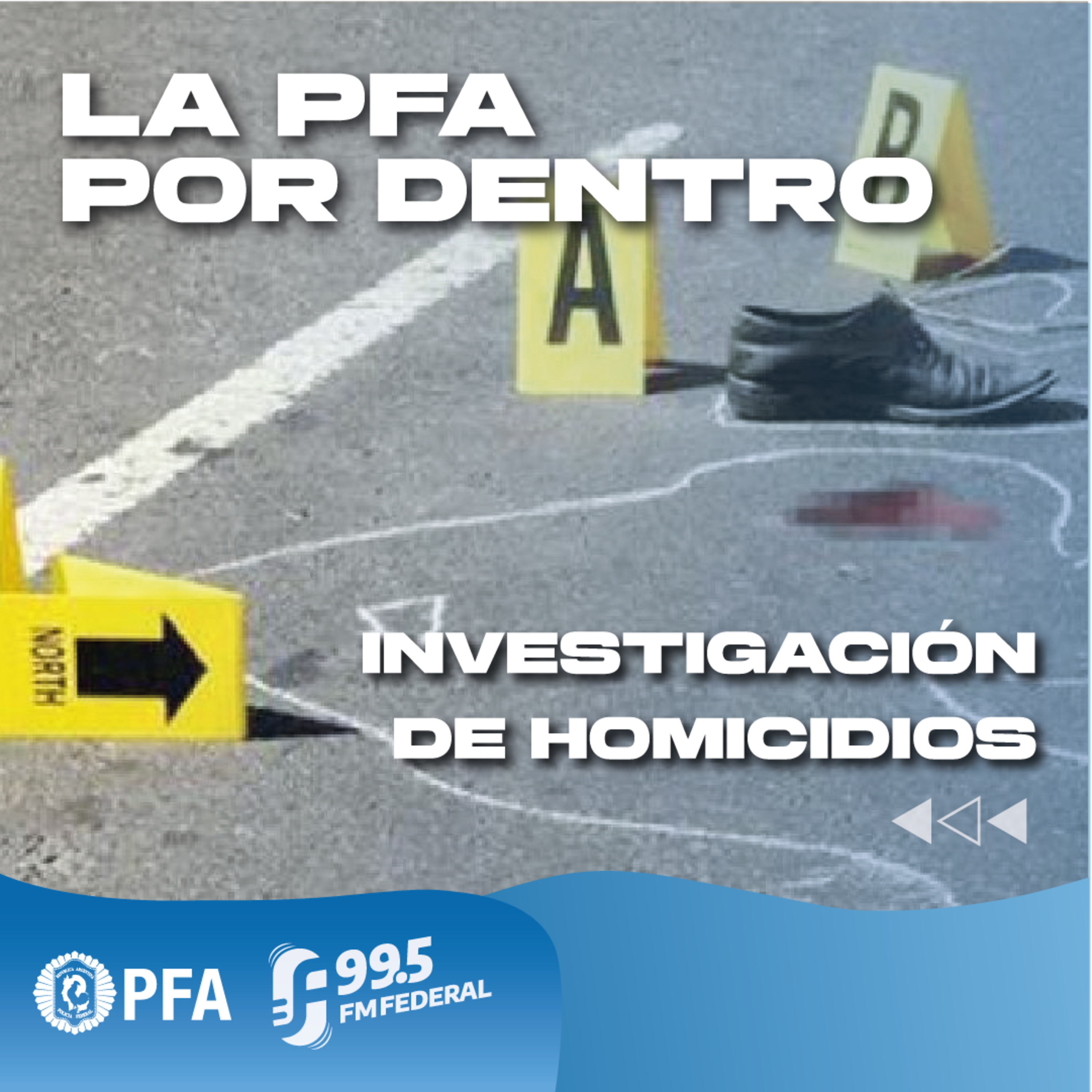 FM FEDERAL 99.5