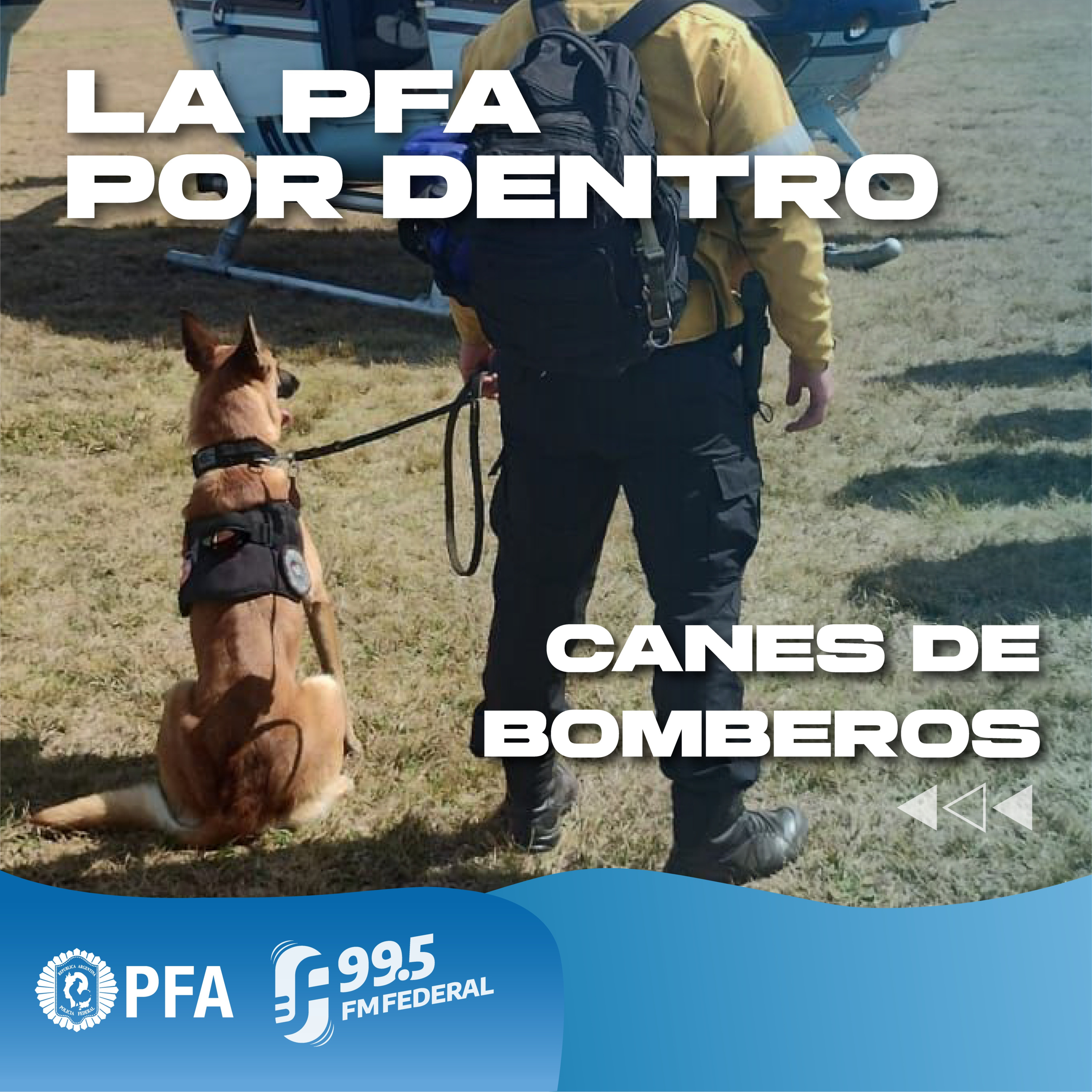 FM FEDERAL 99.5
