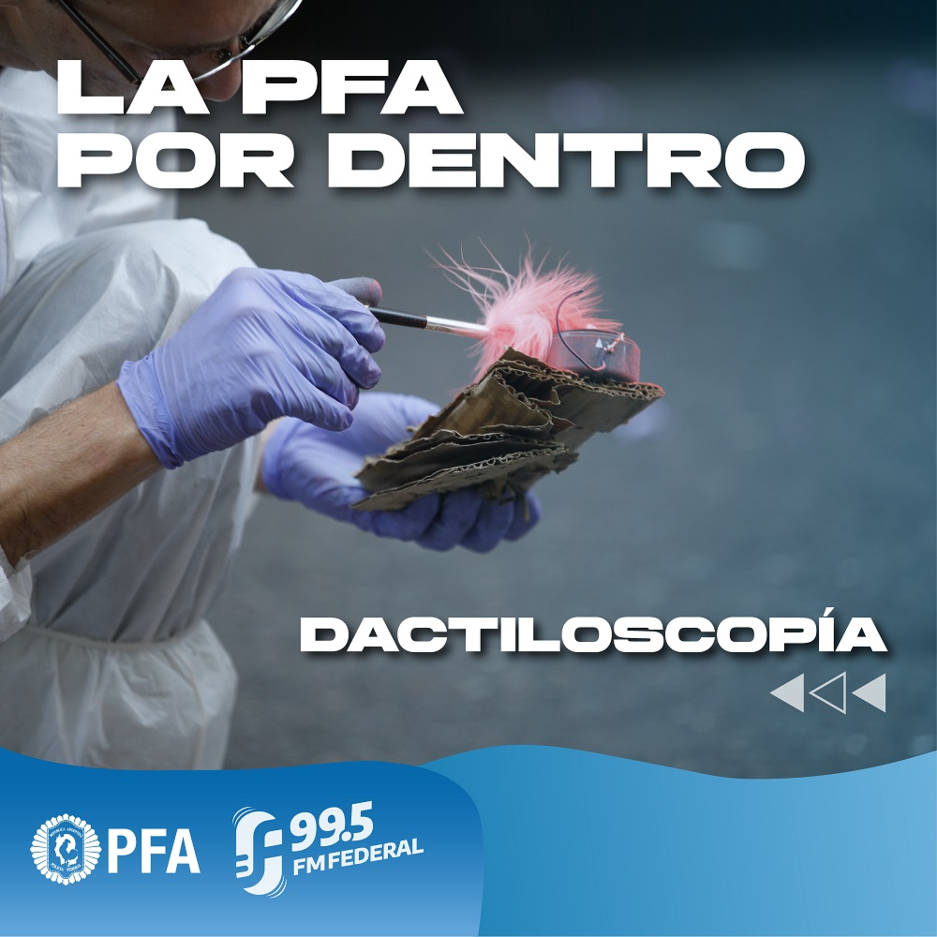 FM FEDERAL 99.5