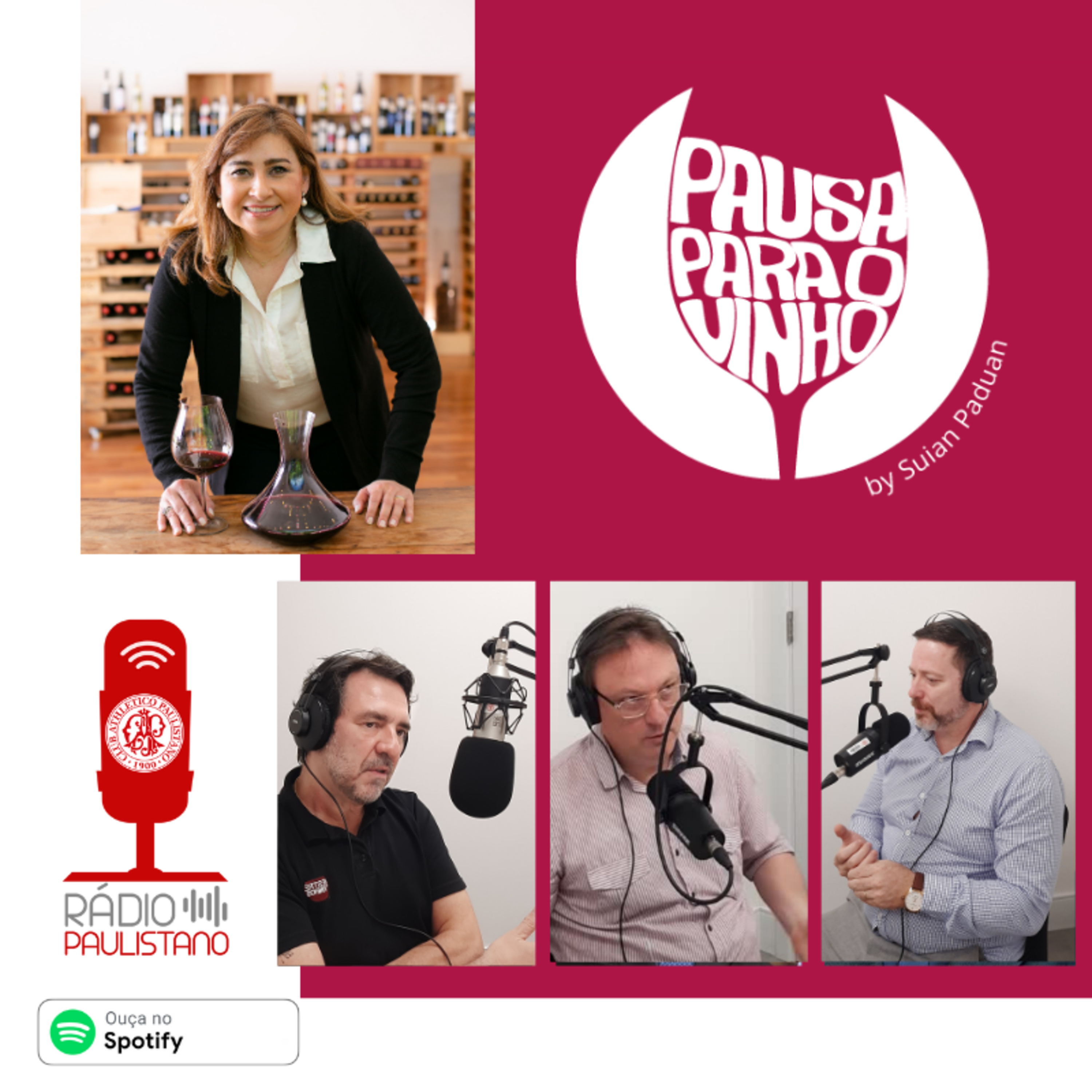 PAUSA PARA O VINHO - DEBATE COM PROFISSIONAIS DO VINHO episode artwork
