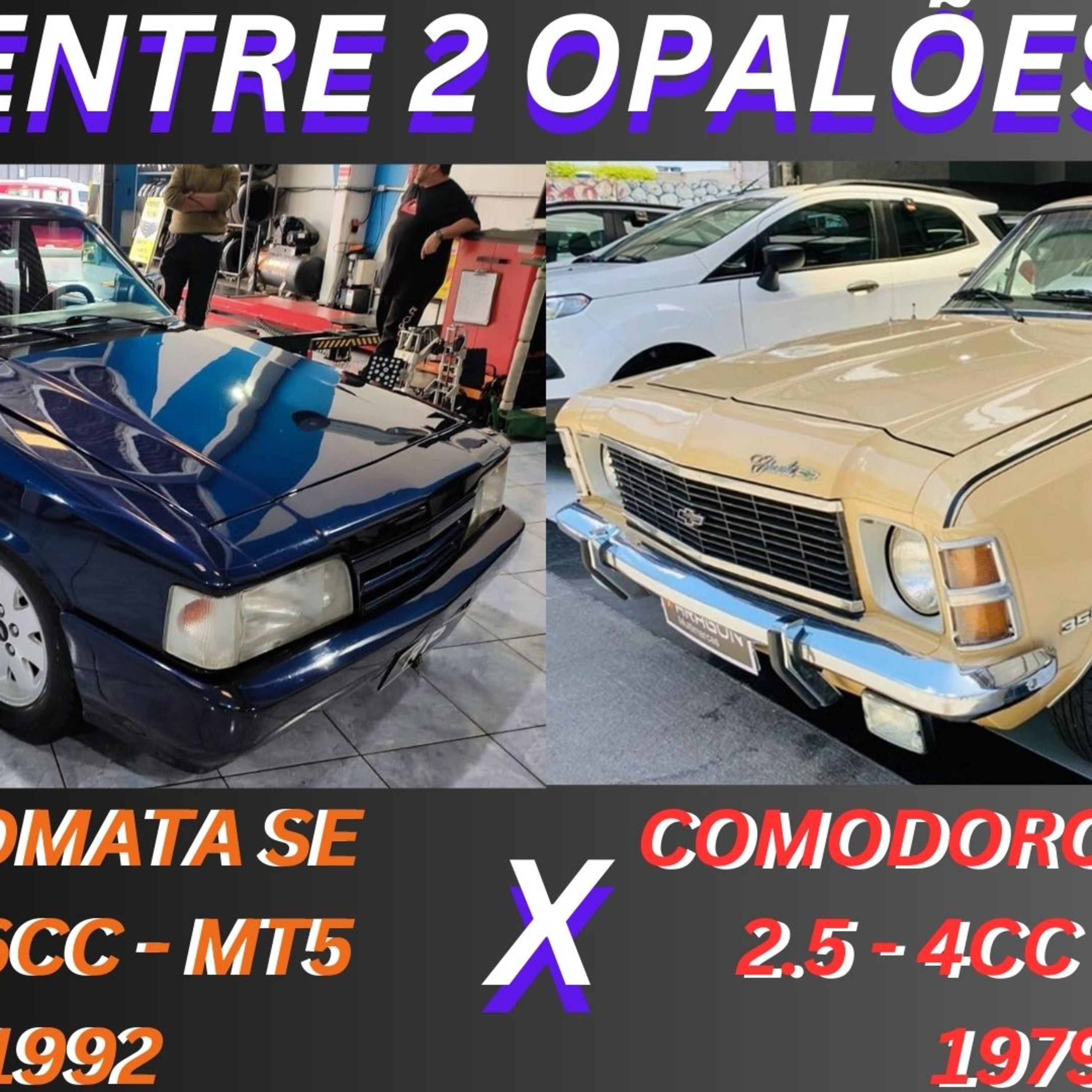 Divisão Automotiva