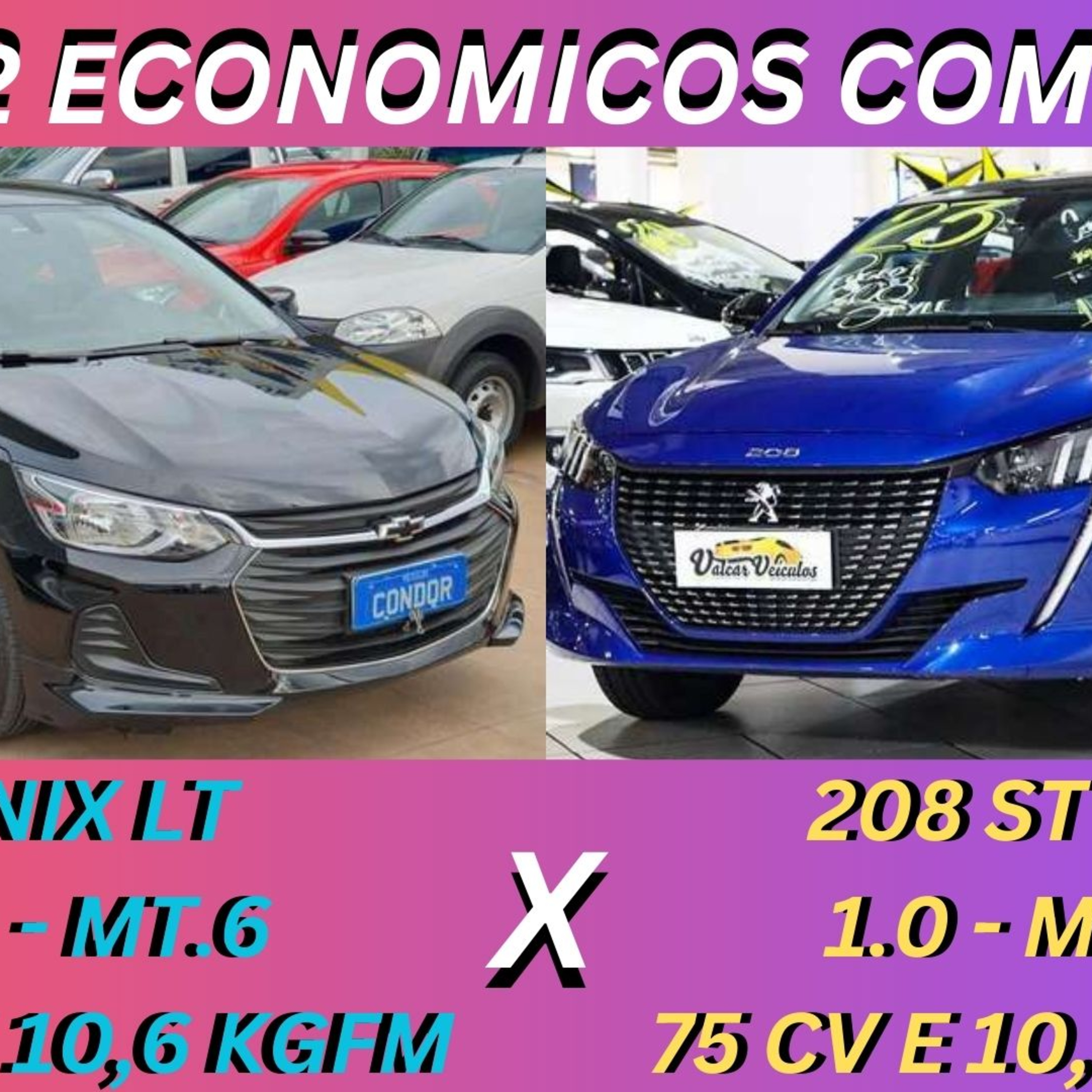 Divisão Automotiva