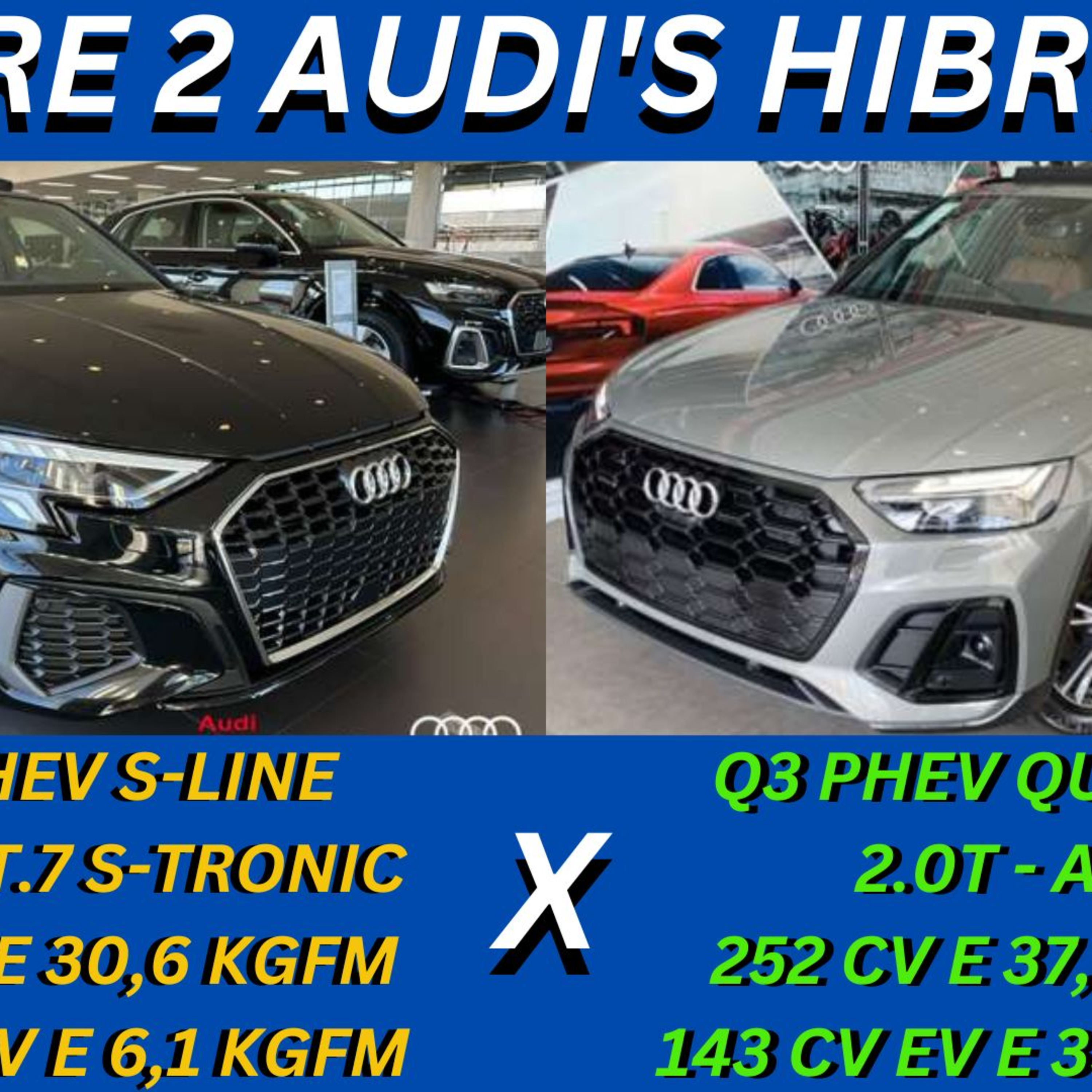 Divisão Automotiva