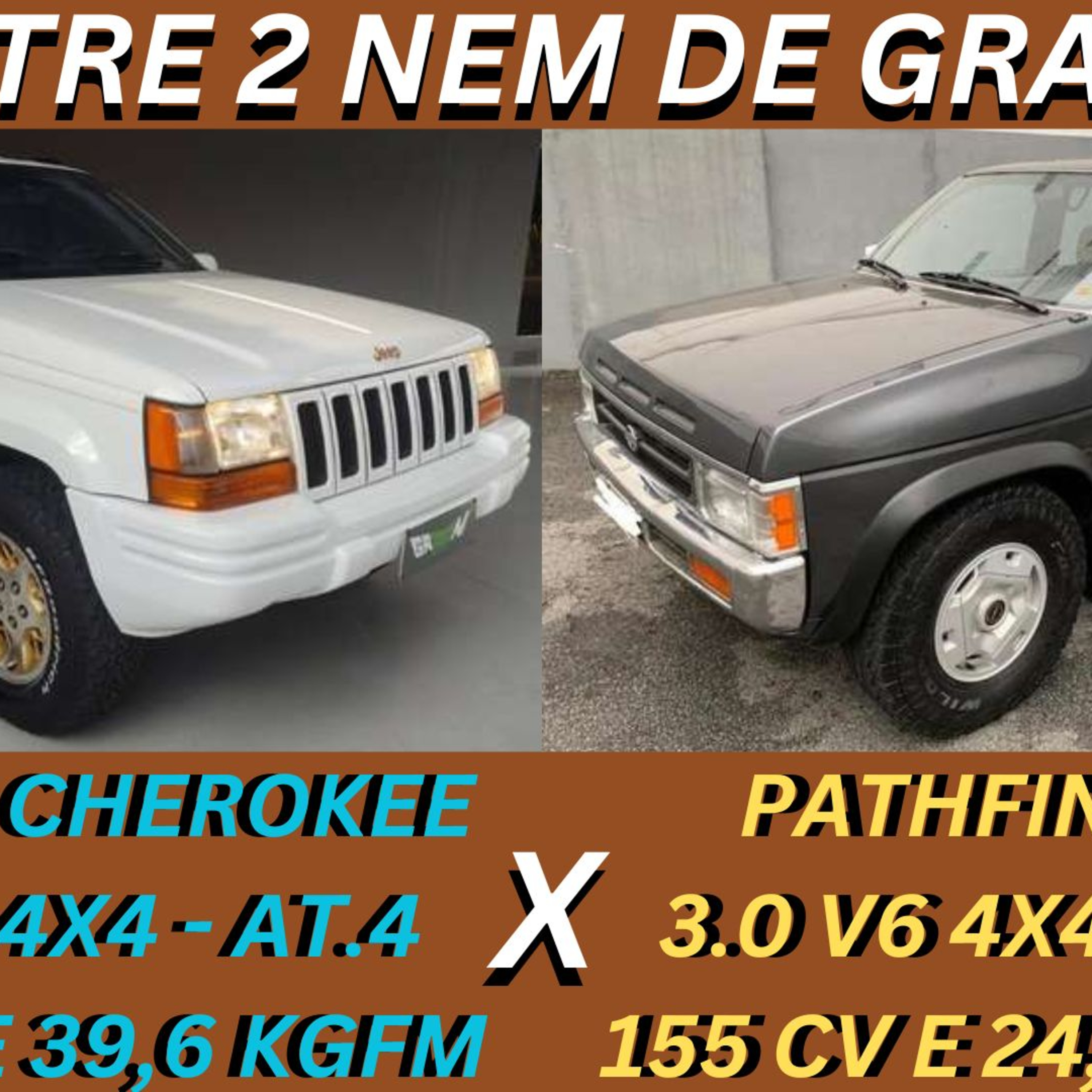 Divisão Automotiva