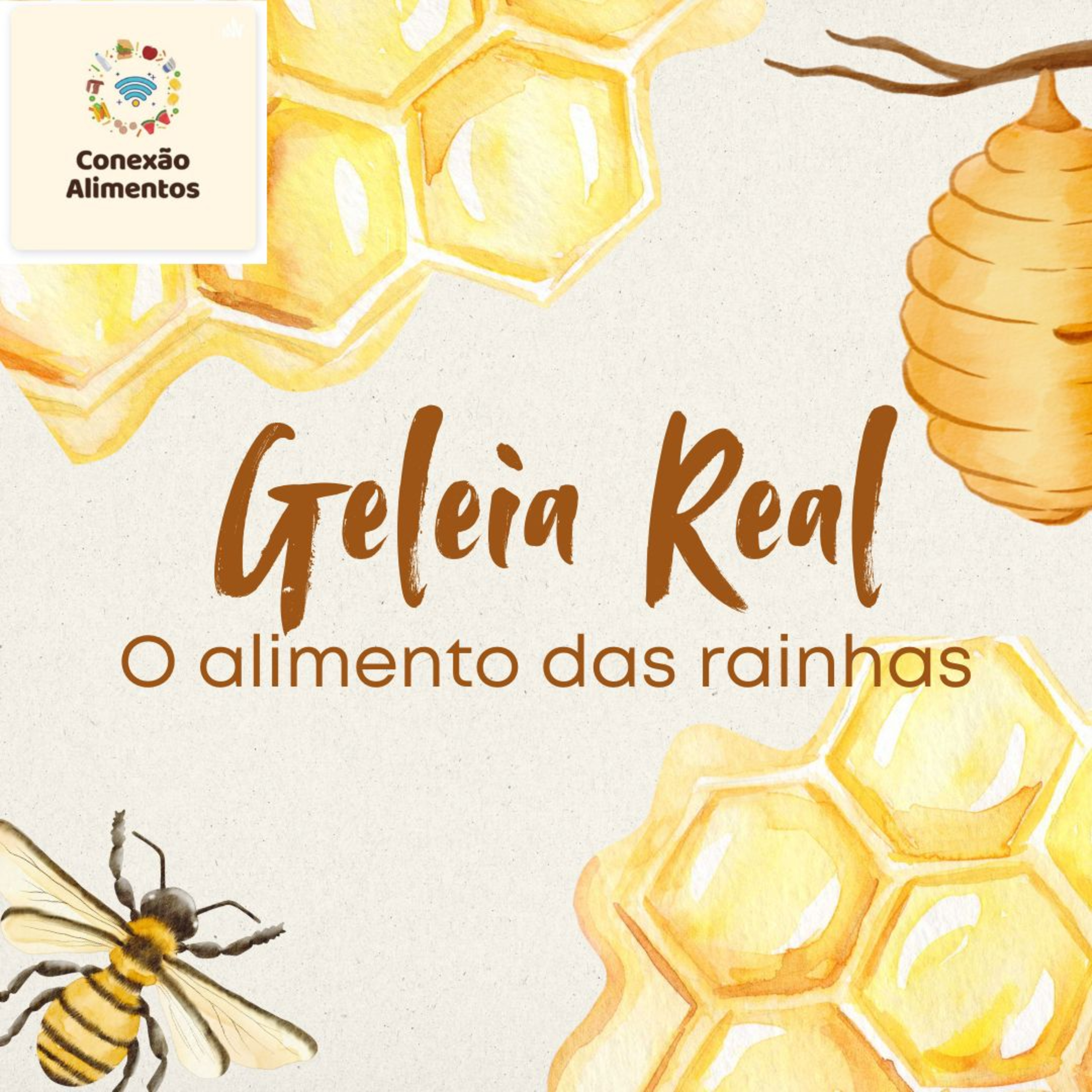 Conexão Alimentos