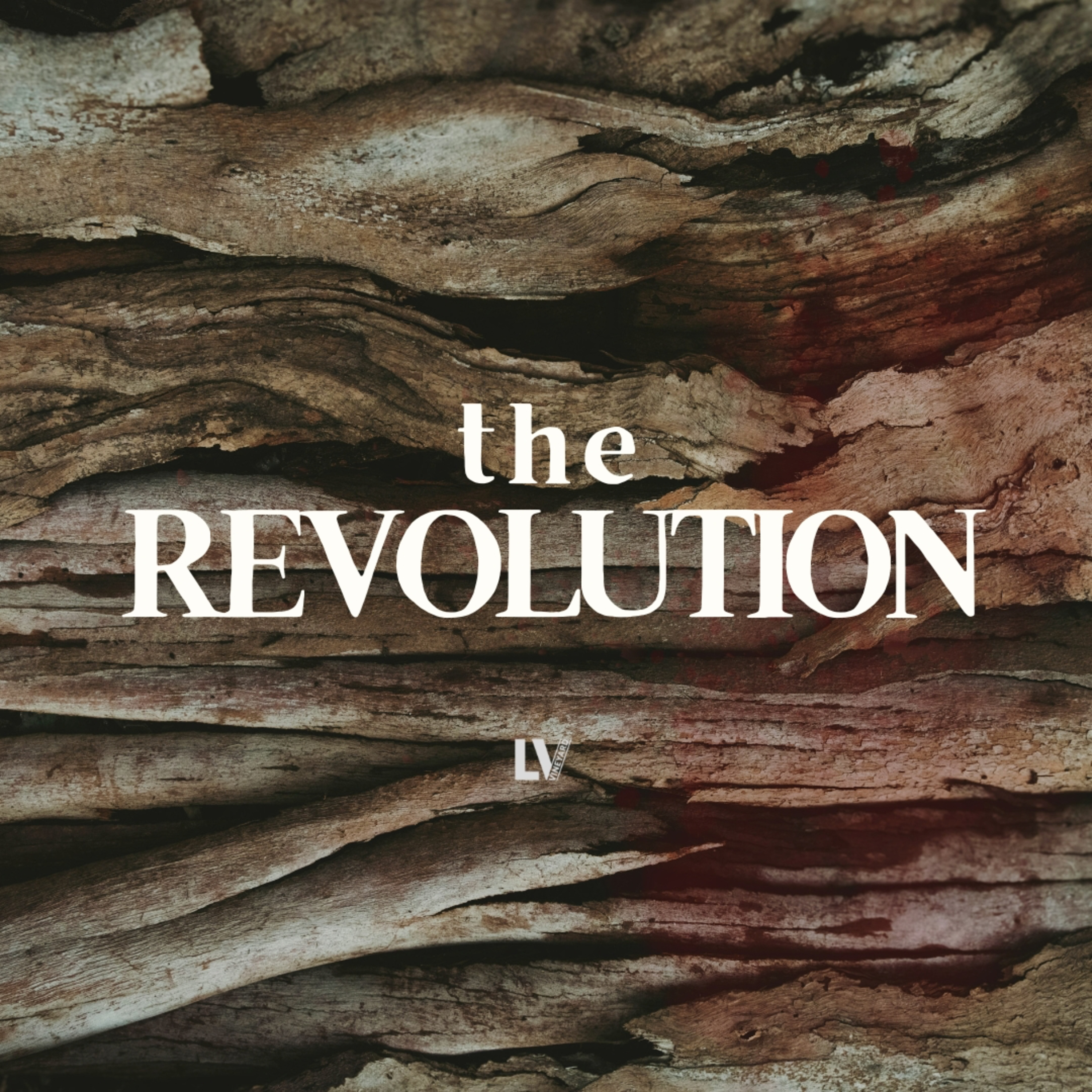 The Revolution pt 2 | Andy Masters episode artwork