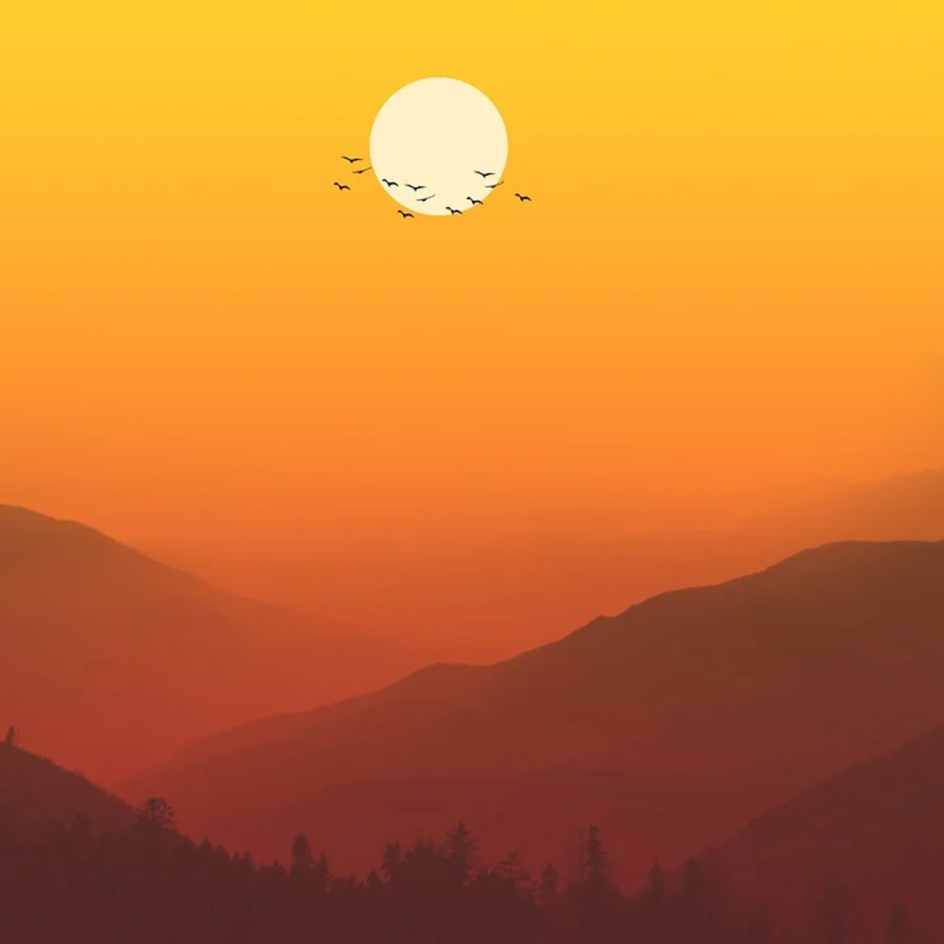 A CANDEIA VIVA episode artwork