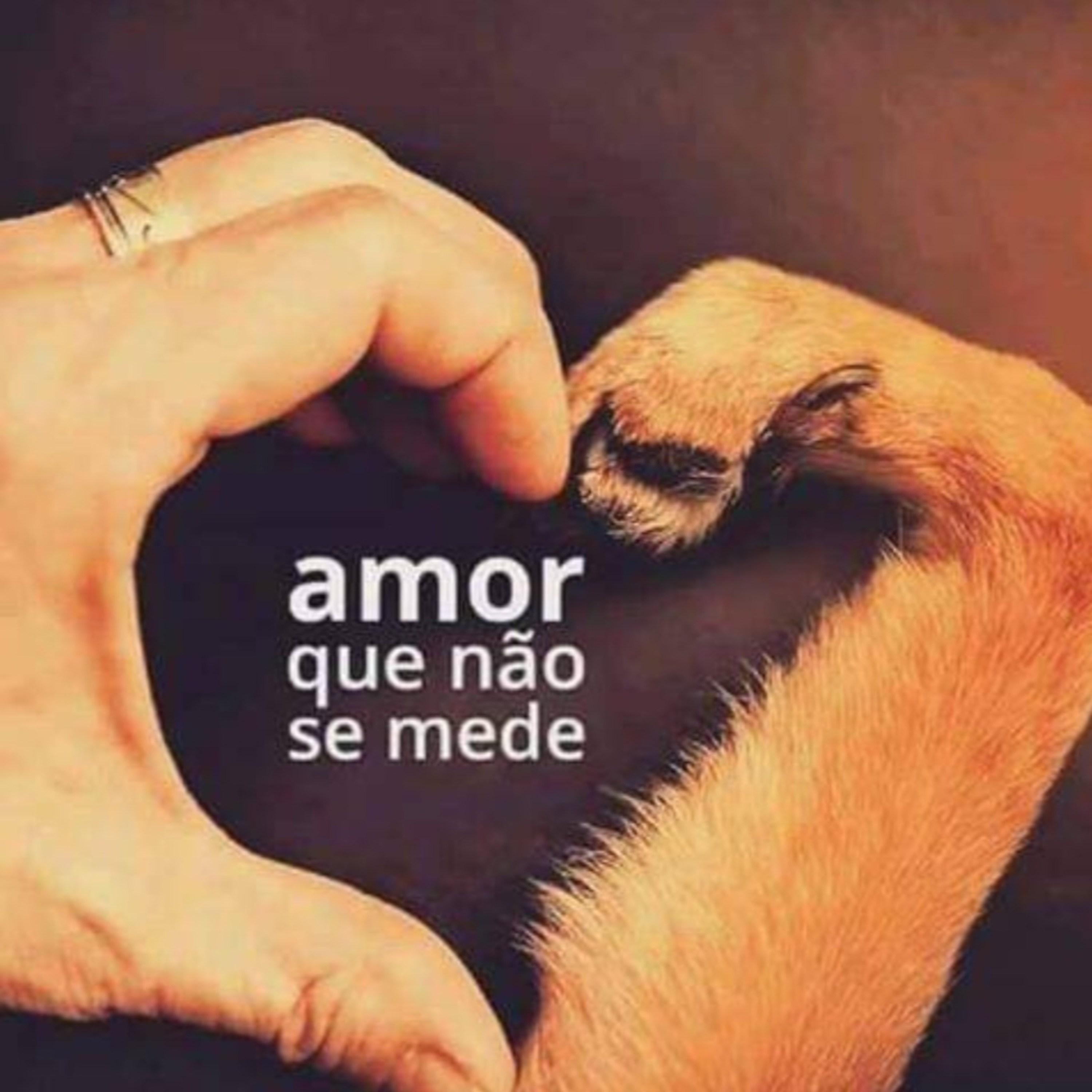 A HORA DA ABOBRINHA