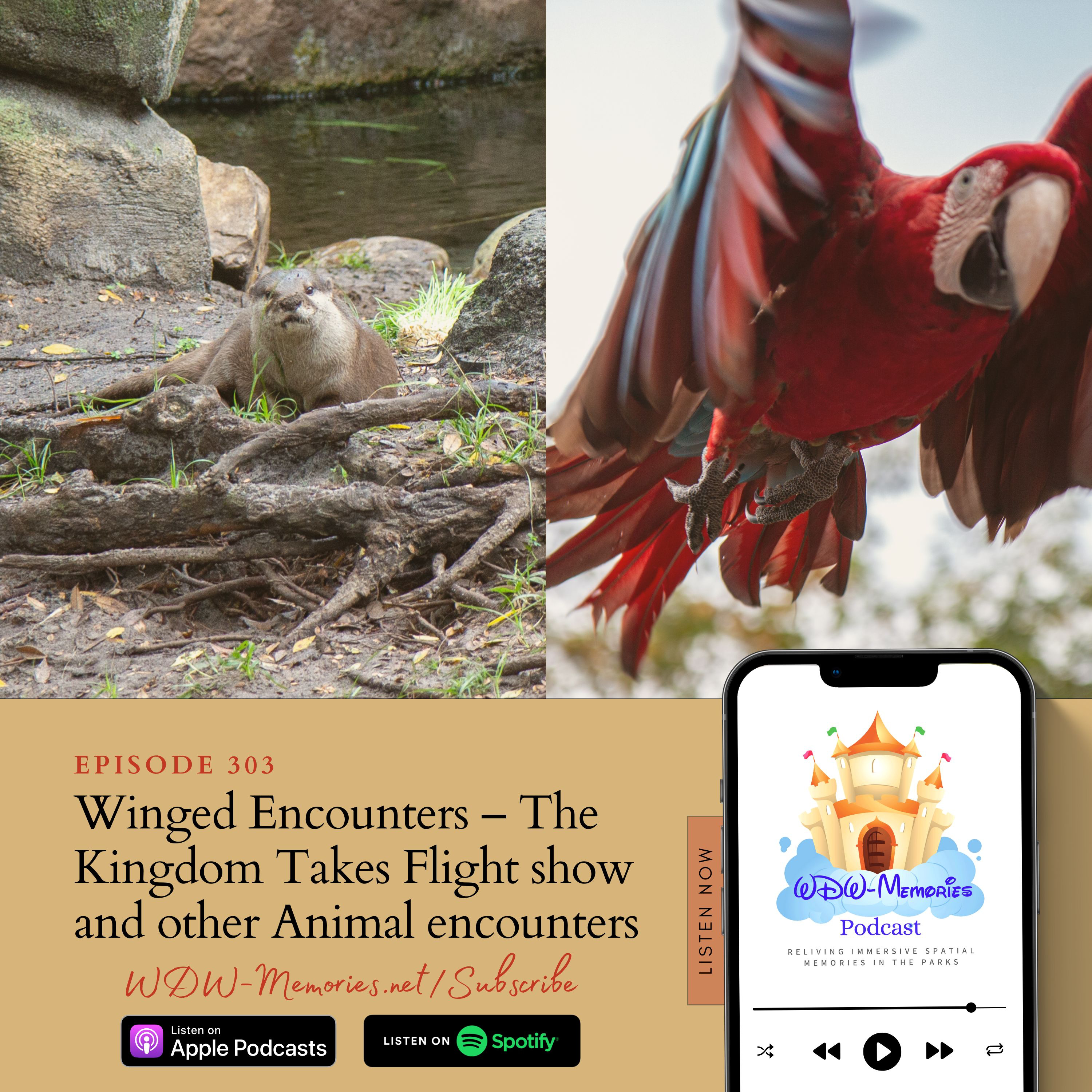 Reliving a Winged Encounters – The Kingdom Takes Flight show and other Animal encounters, in Walt Disney World's: Disney's Animal Kingdom