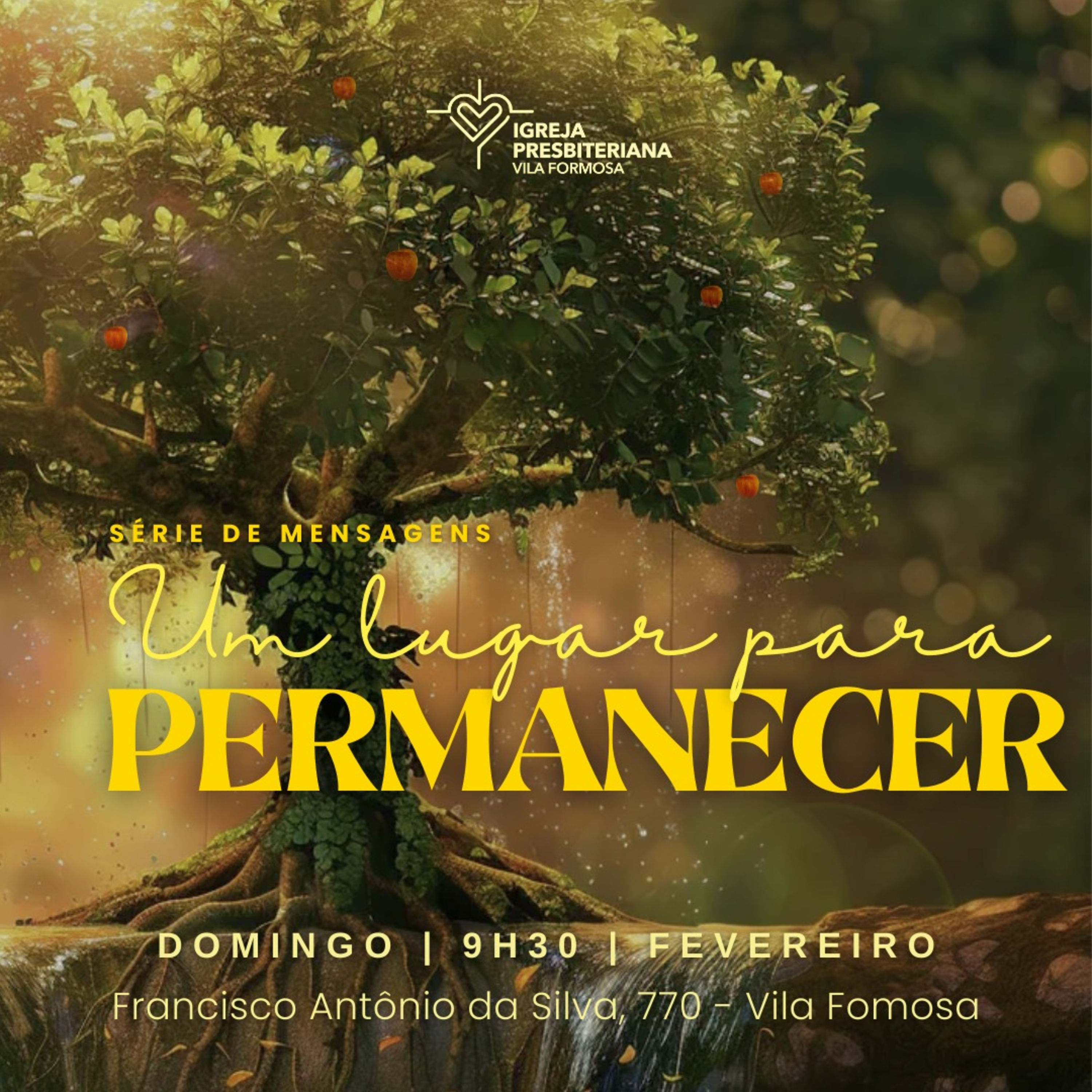 Uma lugar para PERMANECER: VIDEIRA VERDADEIRA #005 episode artwork