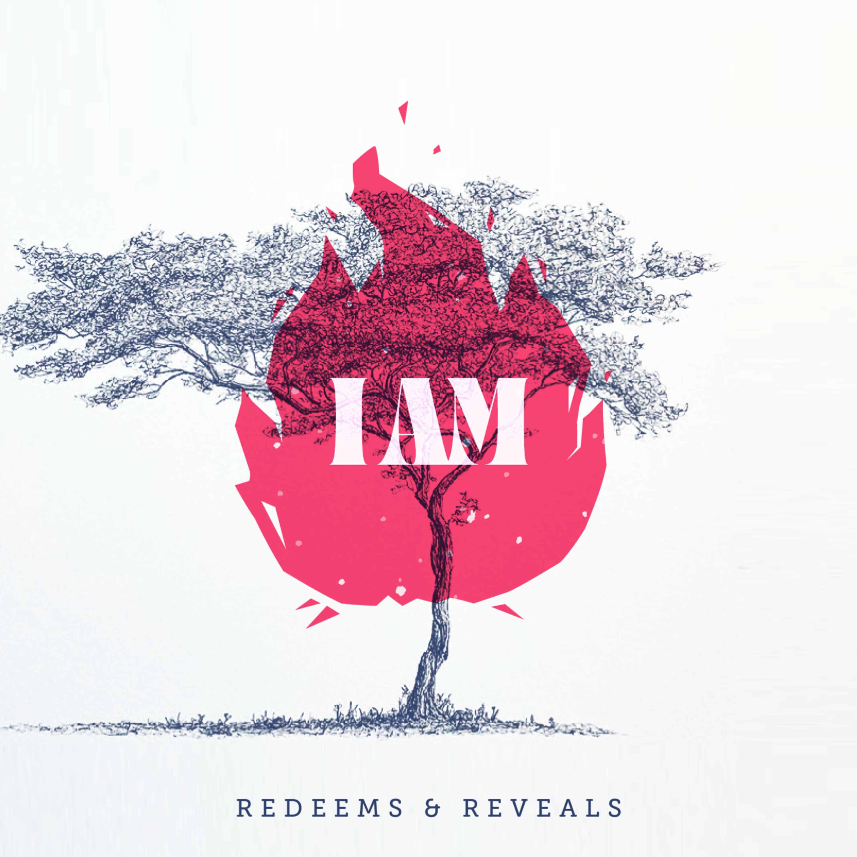 I AM Redeems & Reveals - Where Is The Lord? (Exodus 1-22) episode artwork