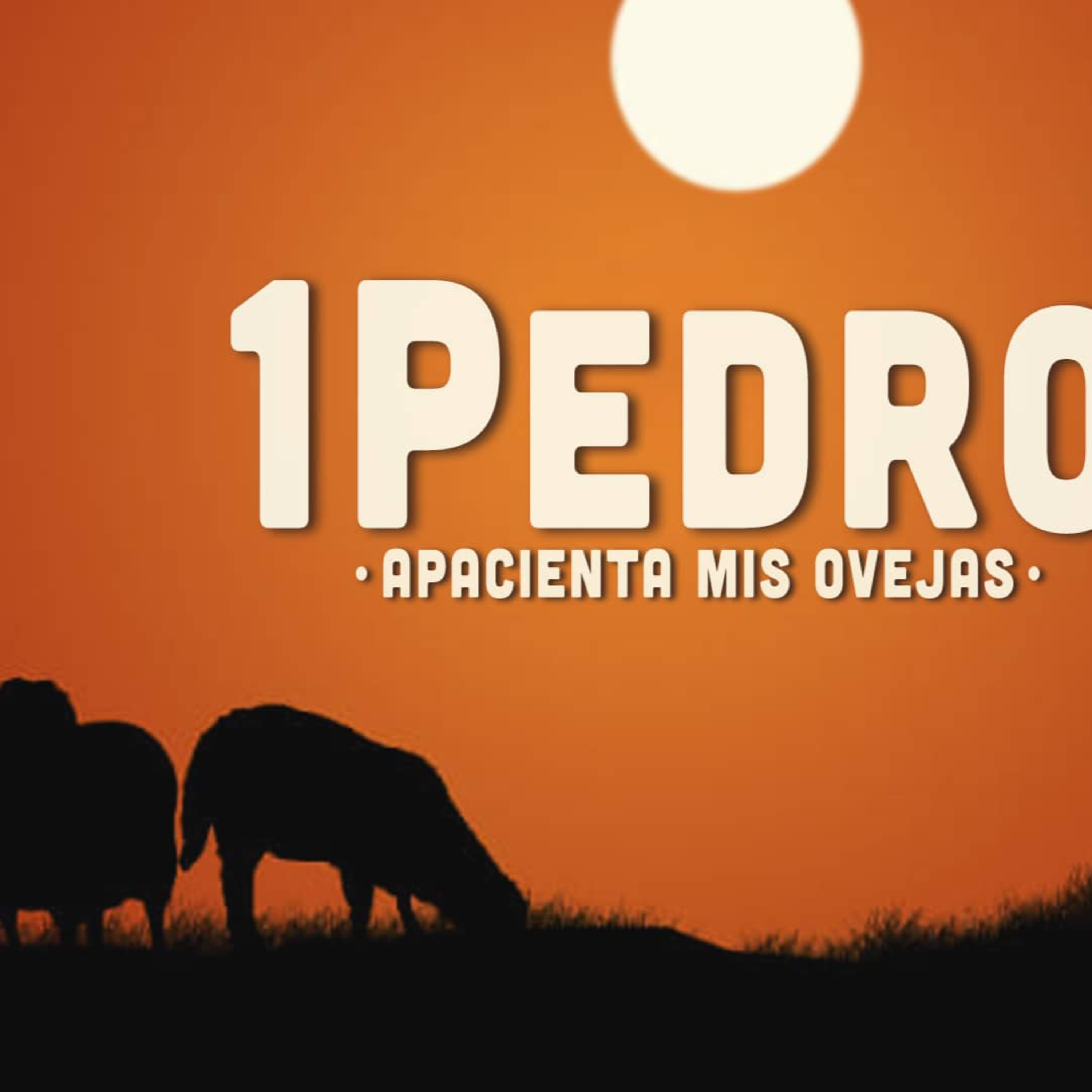 03 | Serie:1 Pedro2023 | Los ángeles anhelan mirar episode artwork