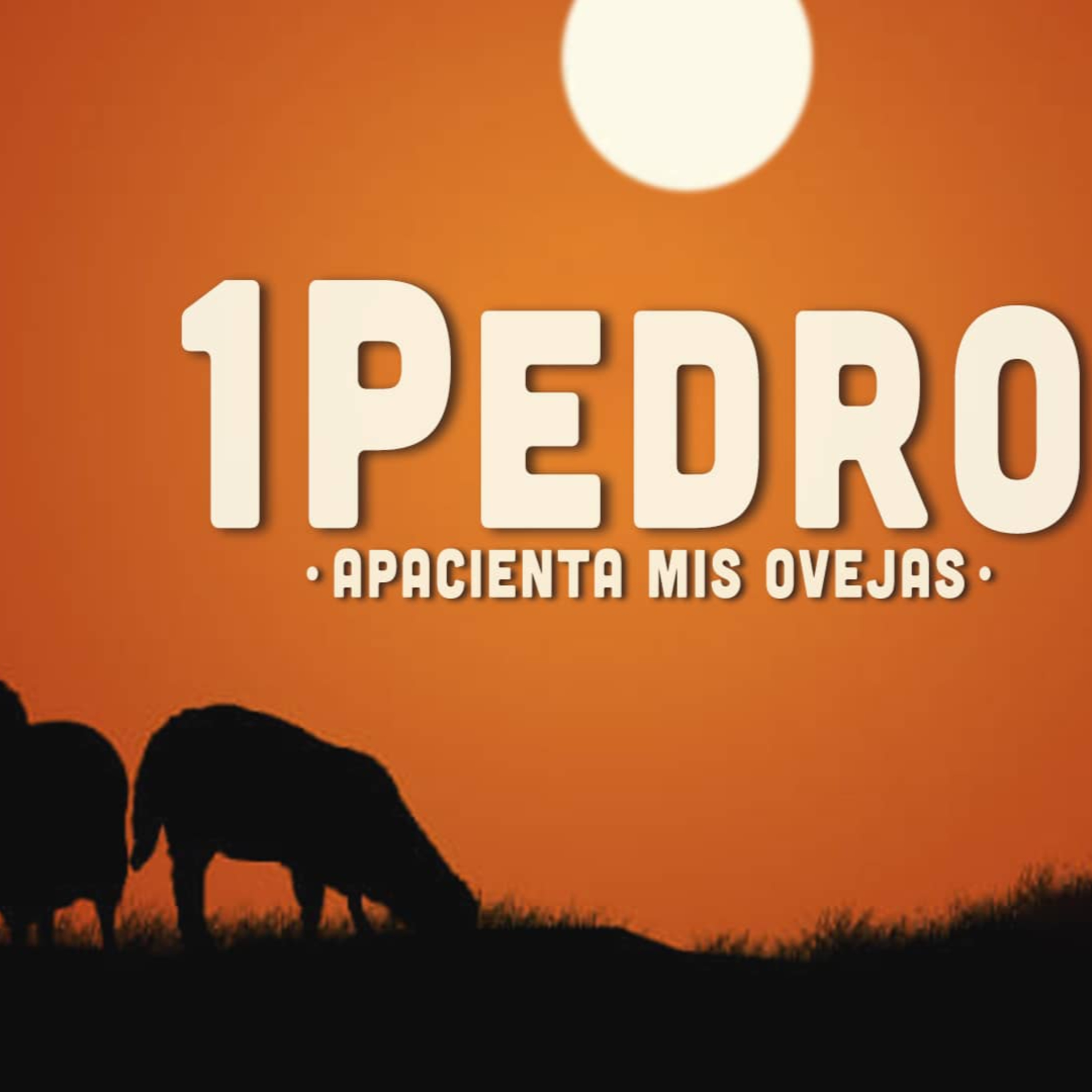 11 | Serie:1 Pedro2023 | Los ojos del Señor episode artwork