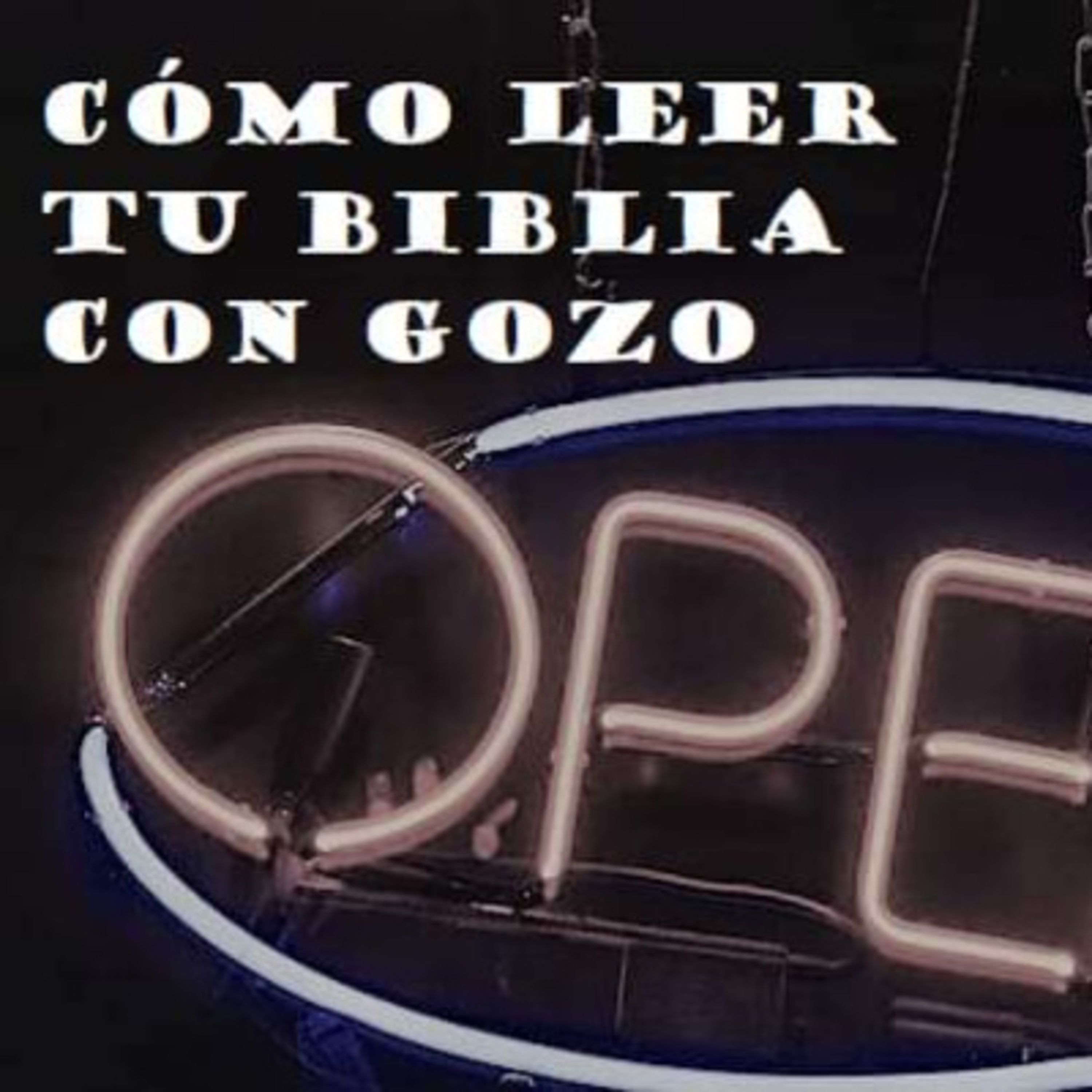 04 | Serie: Cómo leer tu biblia con gozo | 4a parte   episode artwork