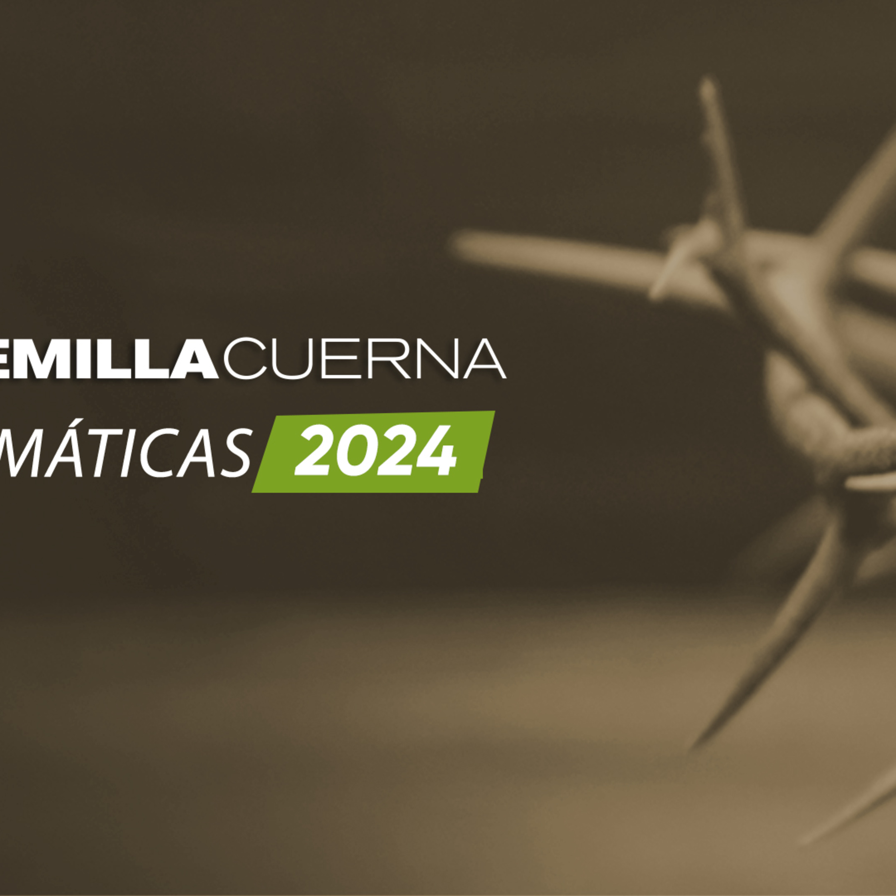 10 | Temáticas2024 | Especial: Día del padre episode artwork