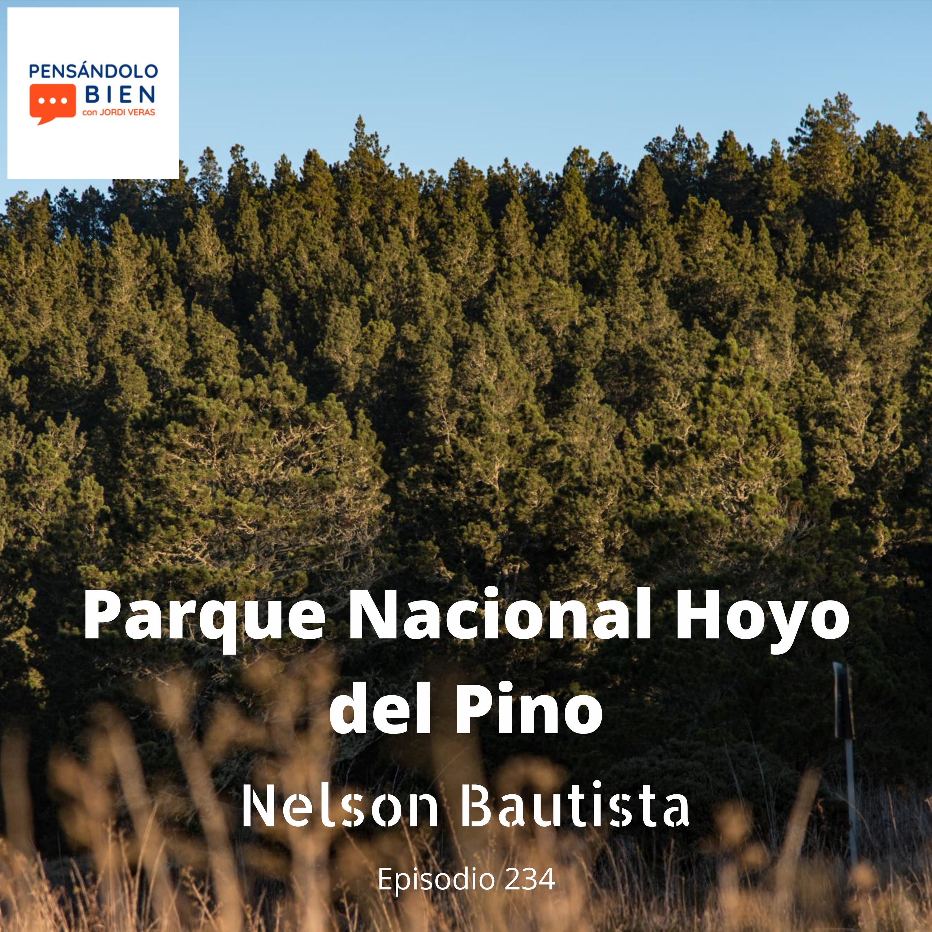 Parque Nacional Hoyo del Pino episode artwork