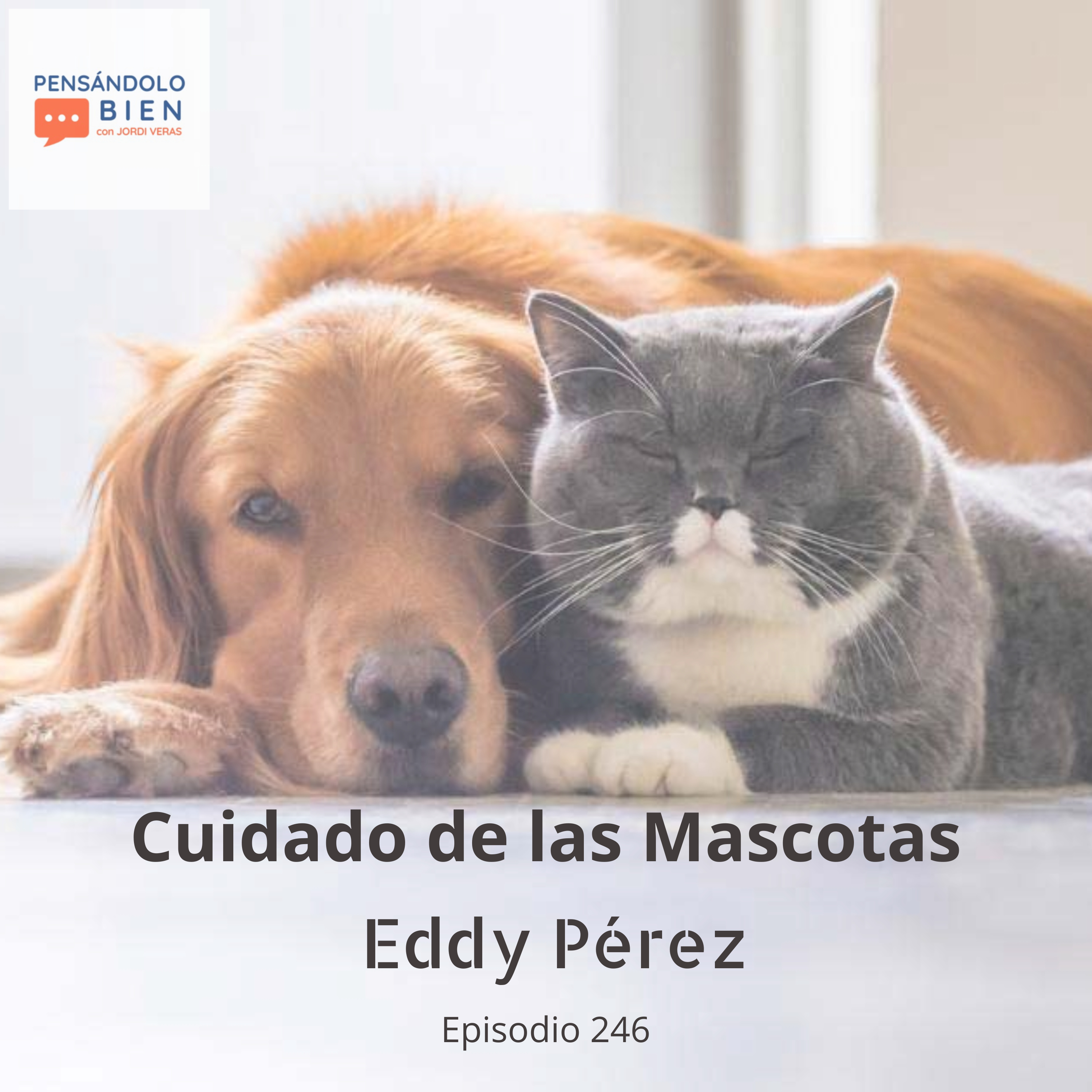 Cuidado de las Mascotas episode artwork
