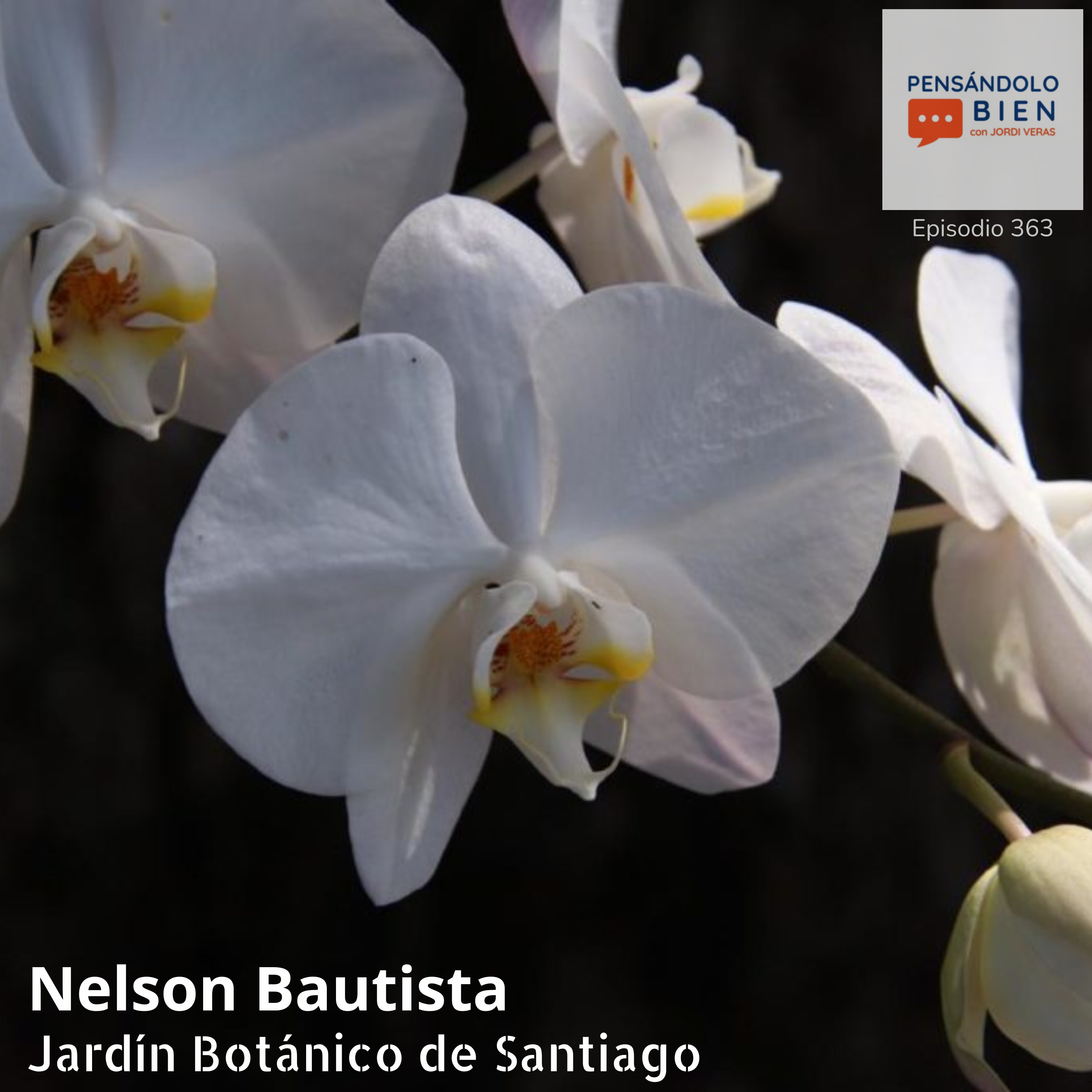 Jardín Botánico de Santiago episode artwork