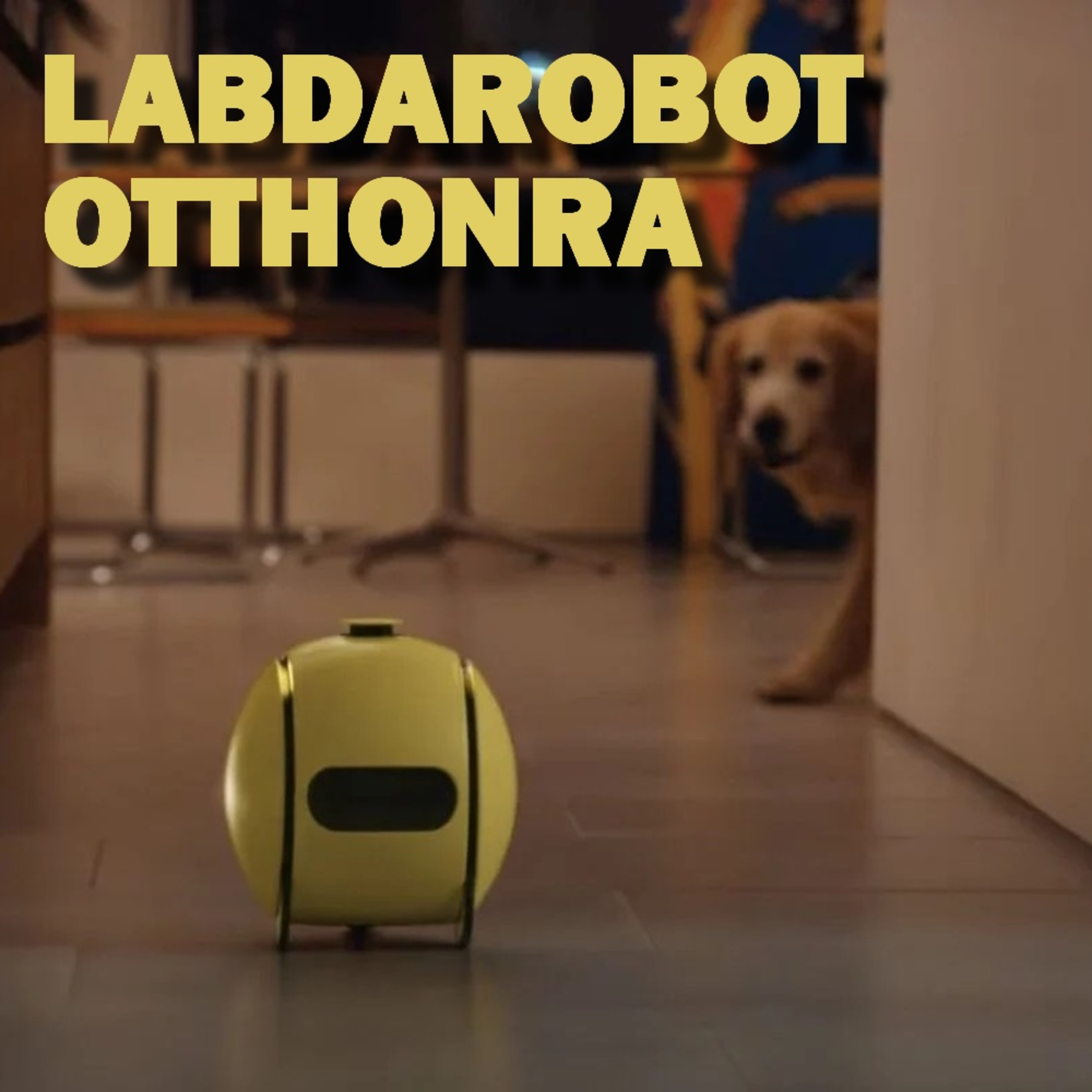 LABDAROBOT OTTHONRA - PosztmodeM a Pátria Rádióban, 2025.04.18. episode artwork