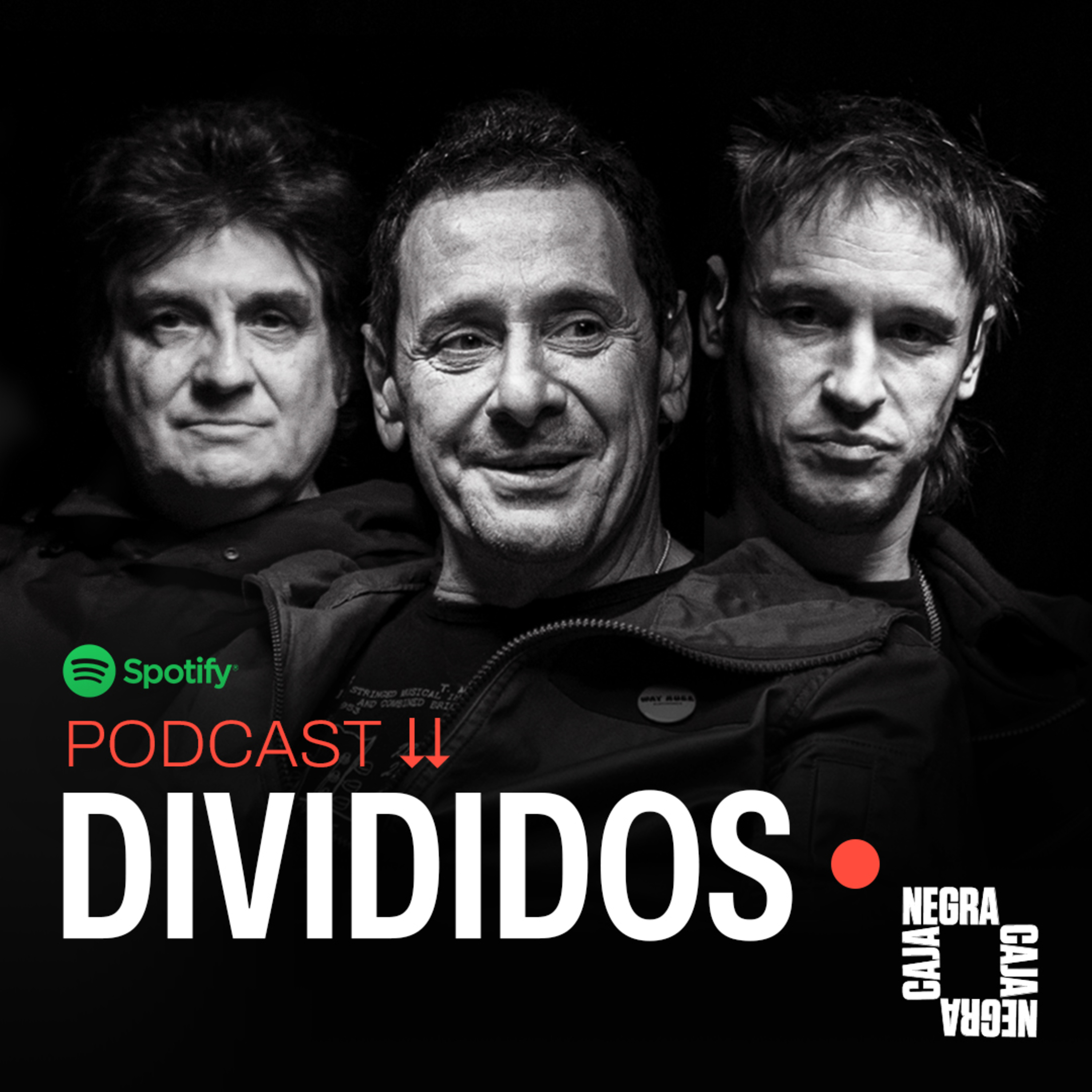 Divididos: "El motor que nos lleva es la convicción" | Caja Negra