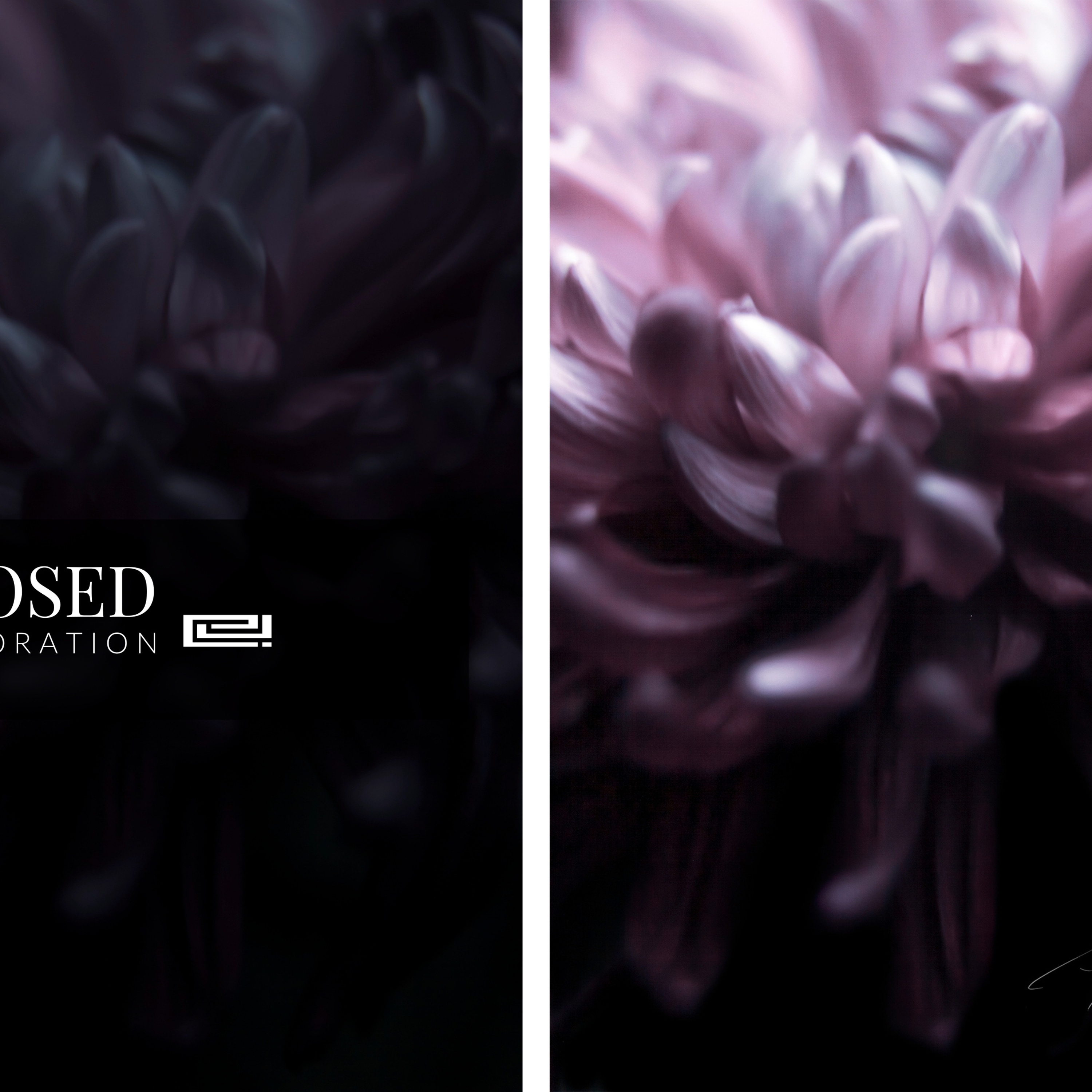 A Chance to Correct Under-Exposed Photography