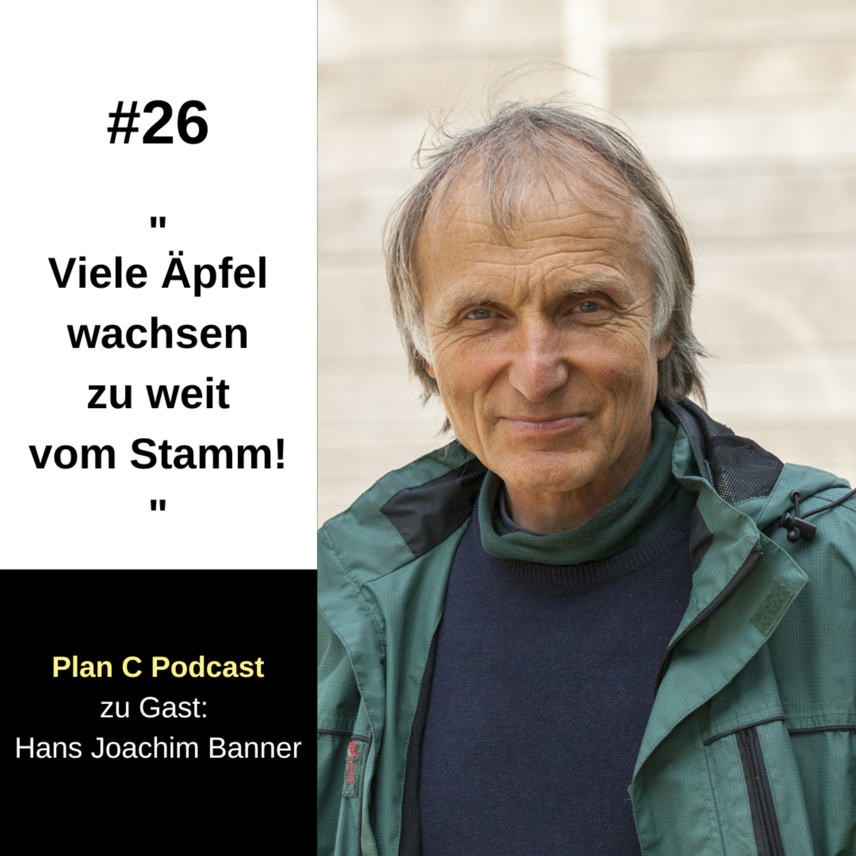 Plan C - weil Plan B hat eh nicht funktioniert