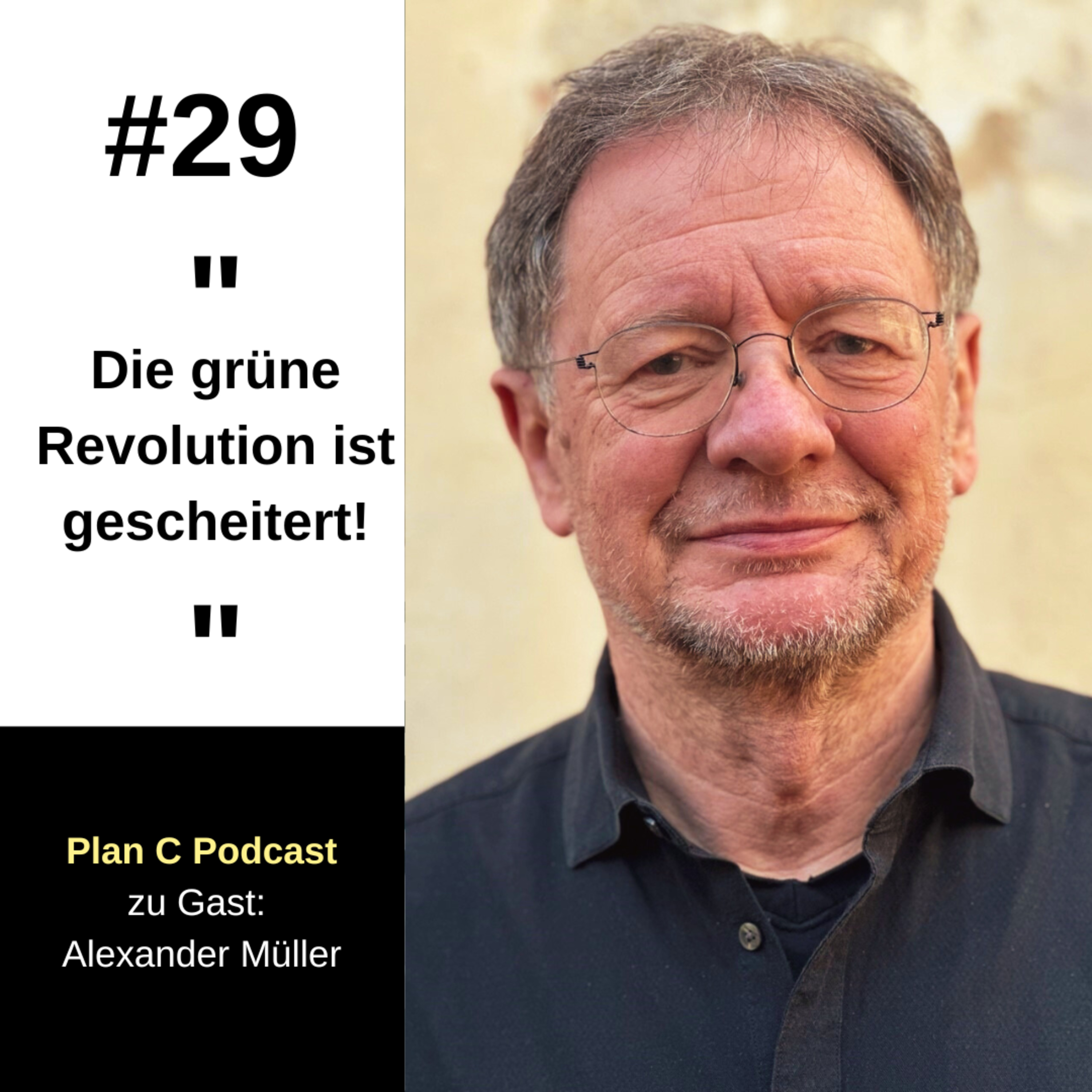 Plan C - weil Plan B hat eh nicht funktioniert