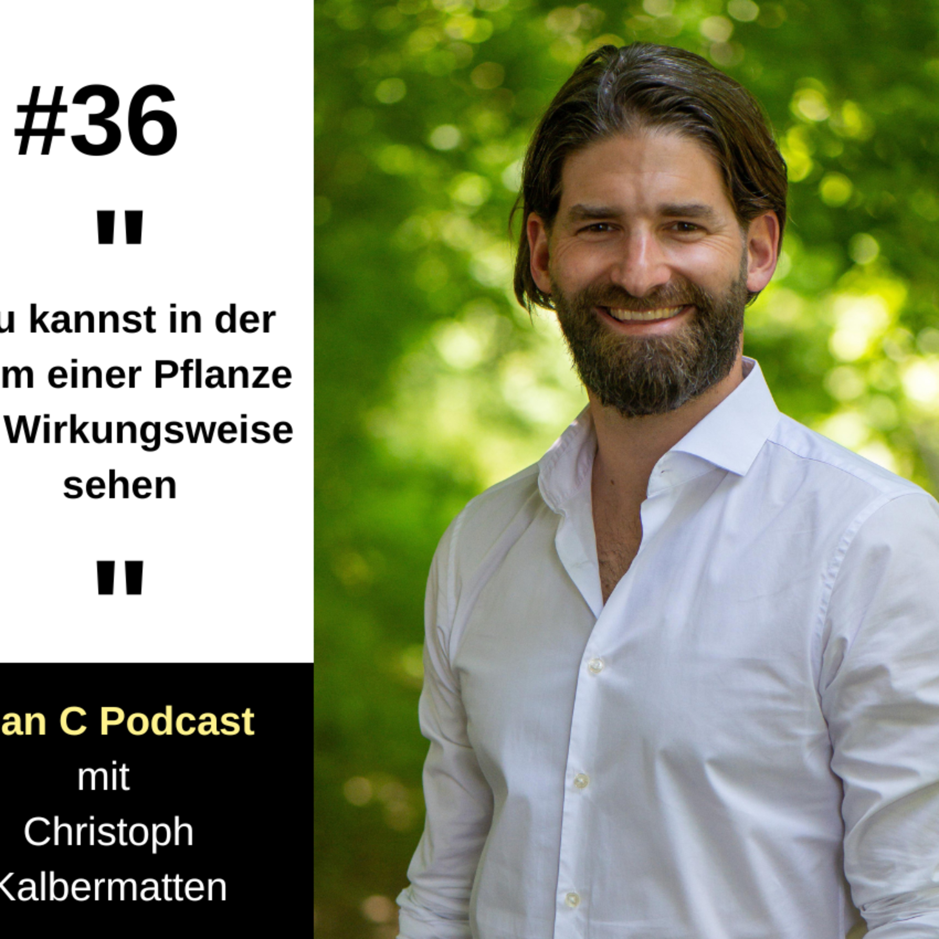 #36 Die Superpower von Pflanzen