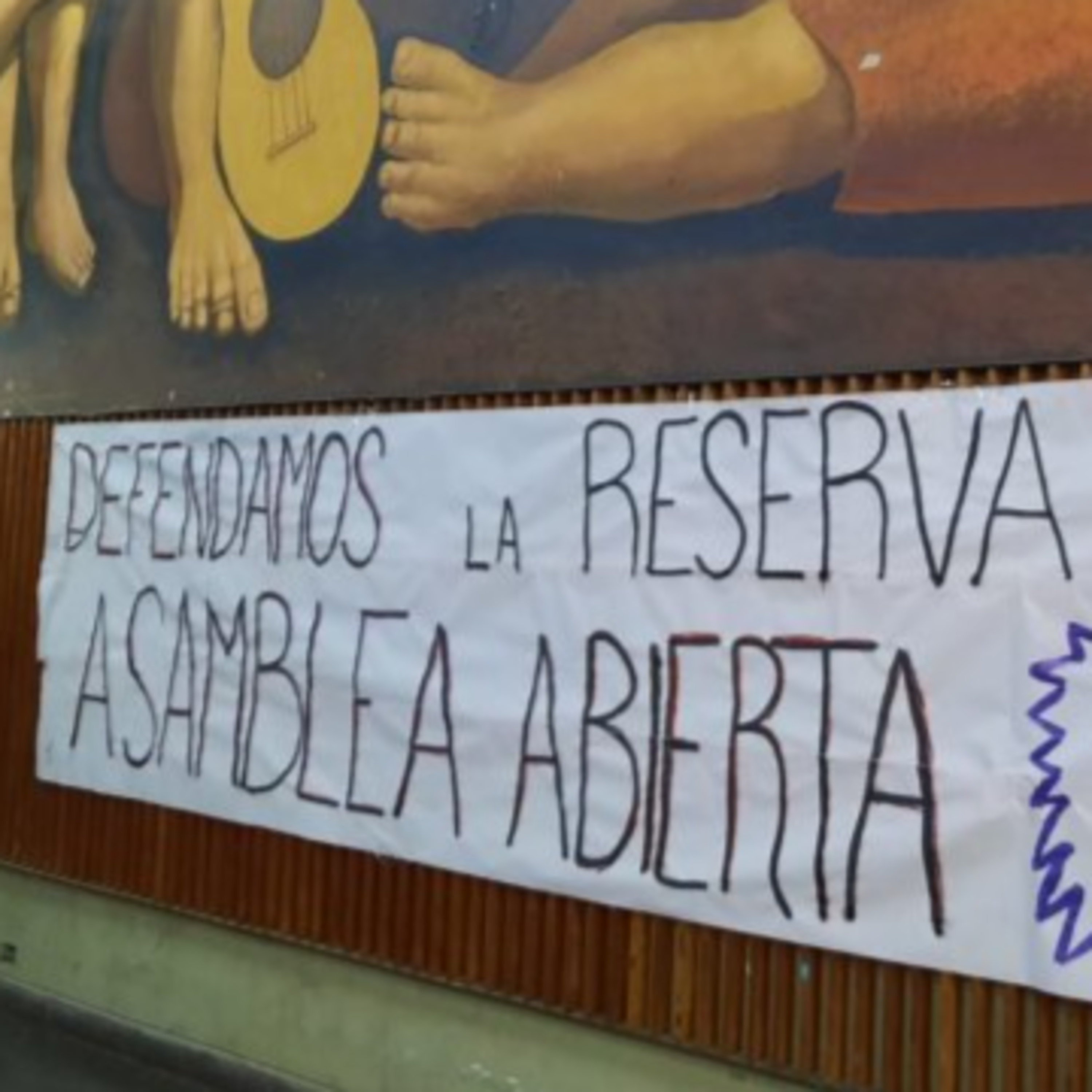 Nota con Jorgelina Bueno, Integrante de la Asamblea en Defensa de la Reserva episode artwork