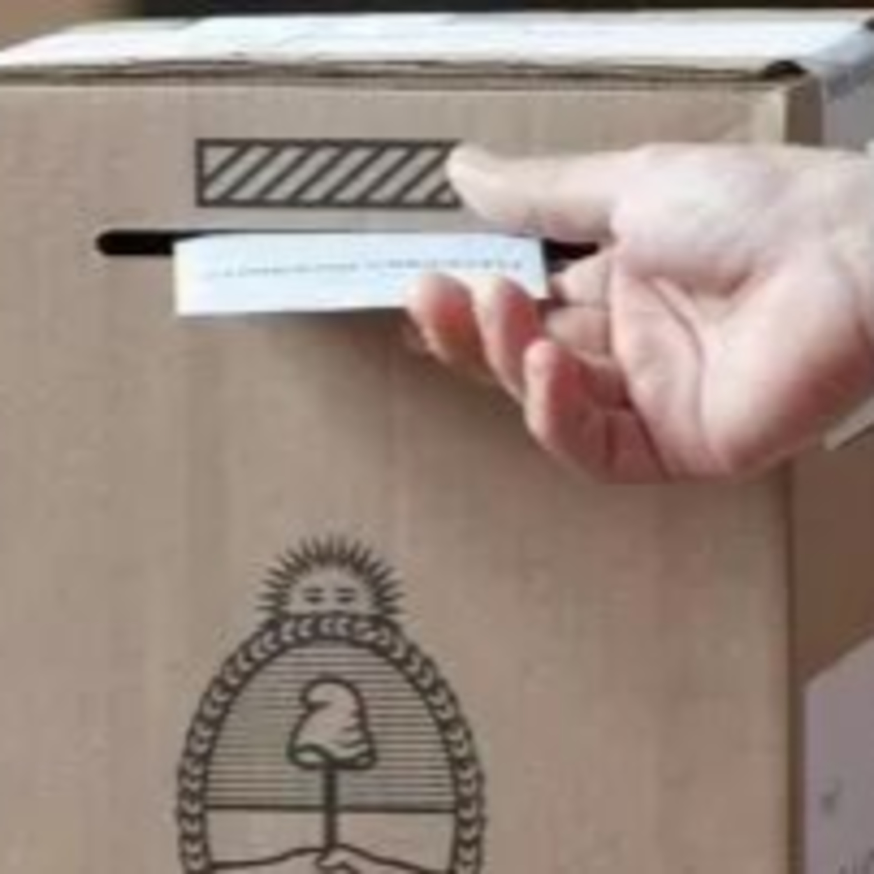 22° #PorElSuelo con Mijael Kaufman Falchuk - ¿Qué propuestas ambientales hay para las PASO?  episode artwork