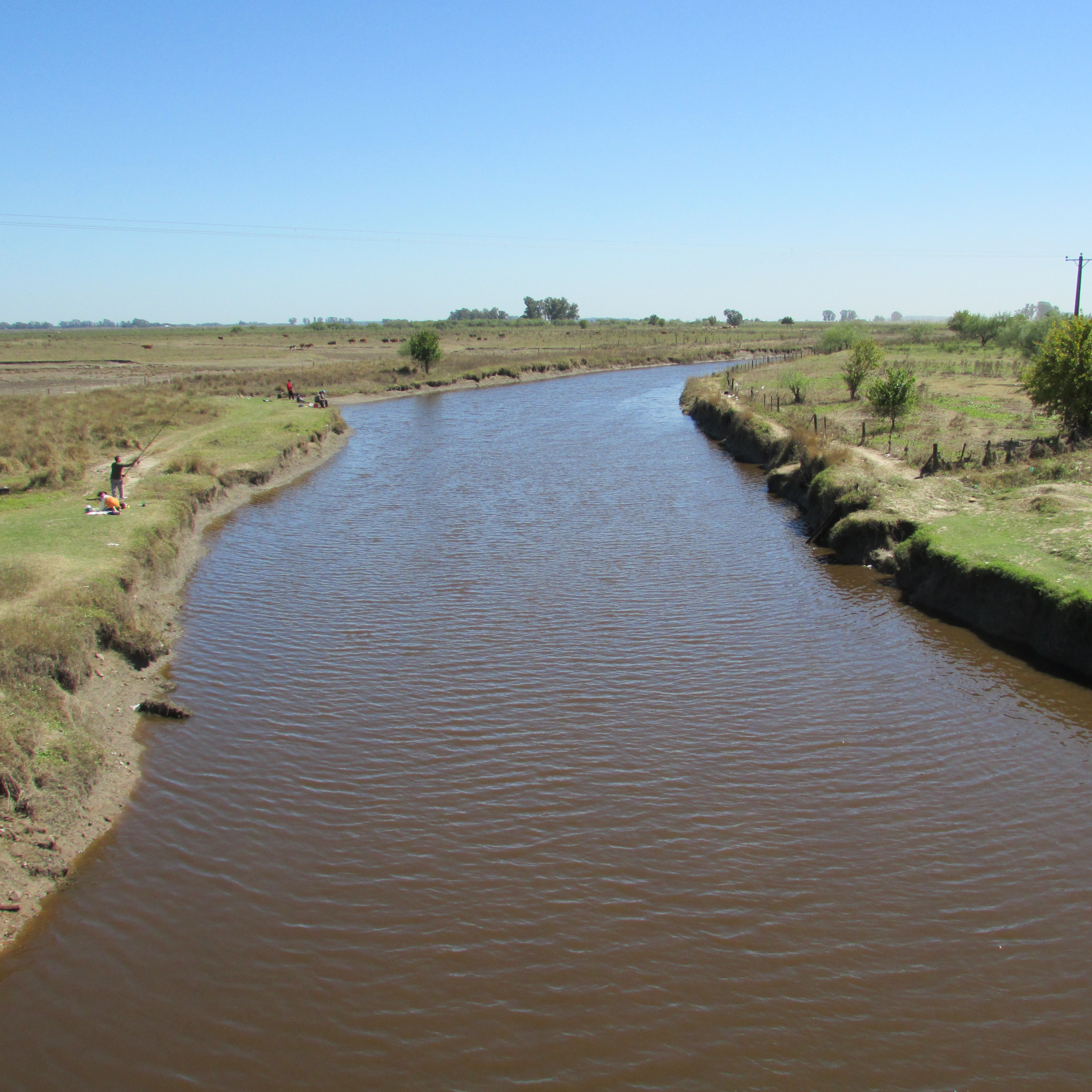 #Radioscopio - Proyecto Reserva Fluvial episode artwork